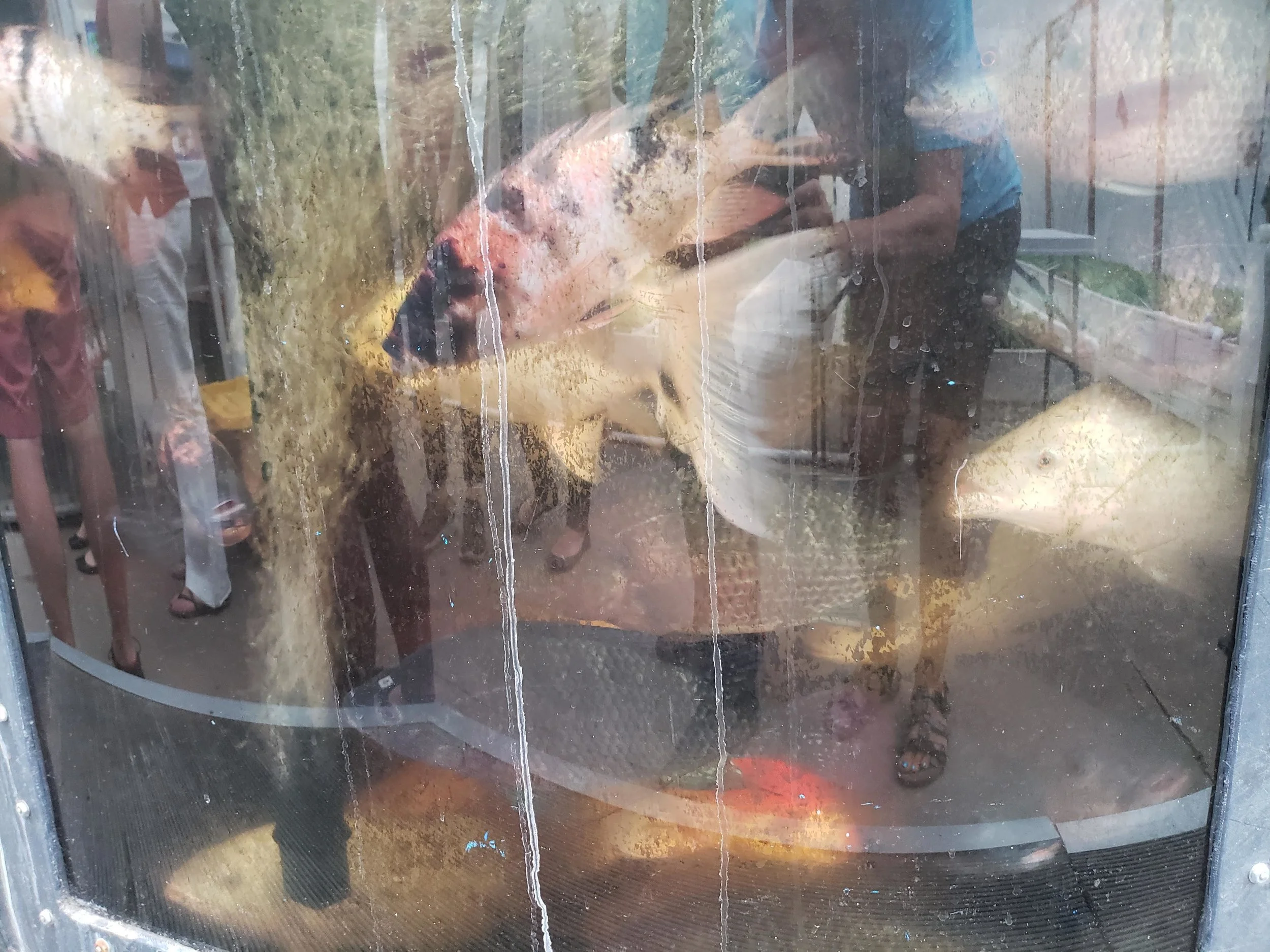 20180628_193039.jpg