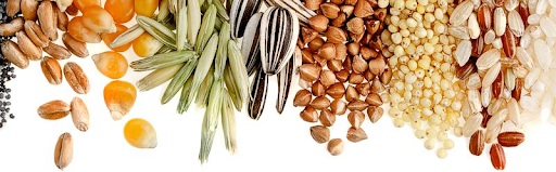 seeds.jpg