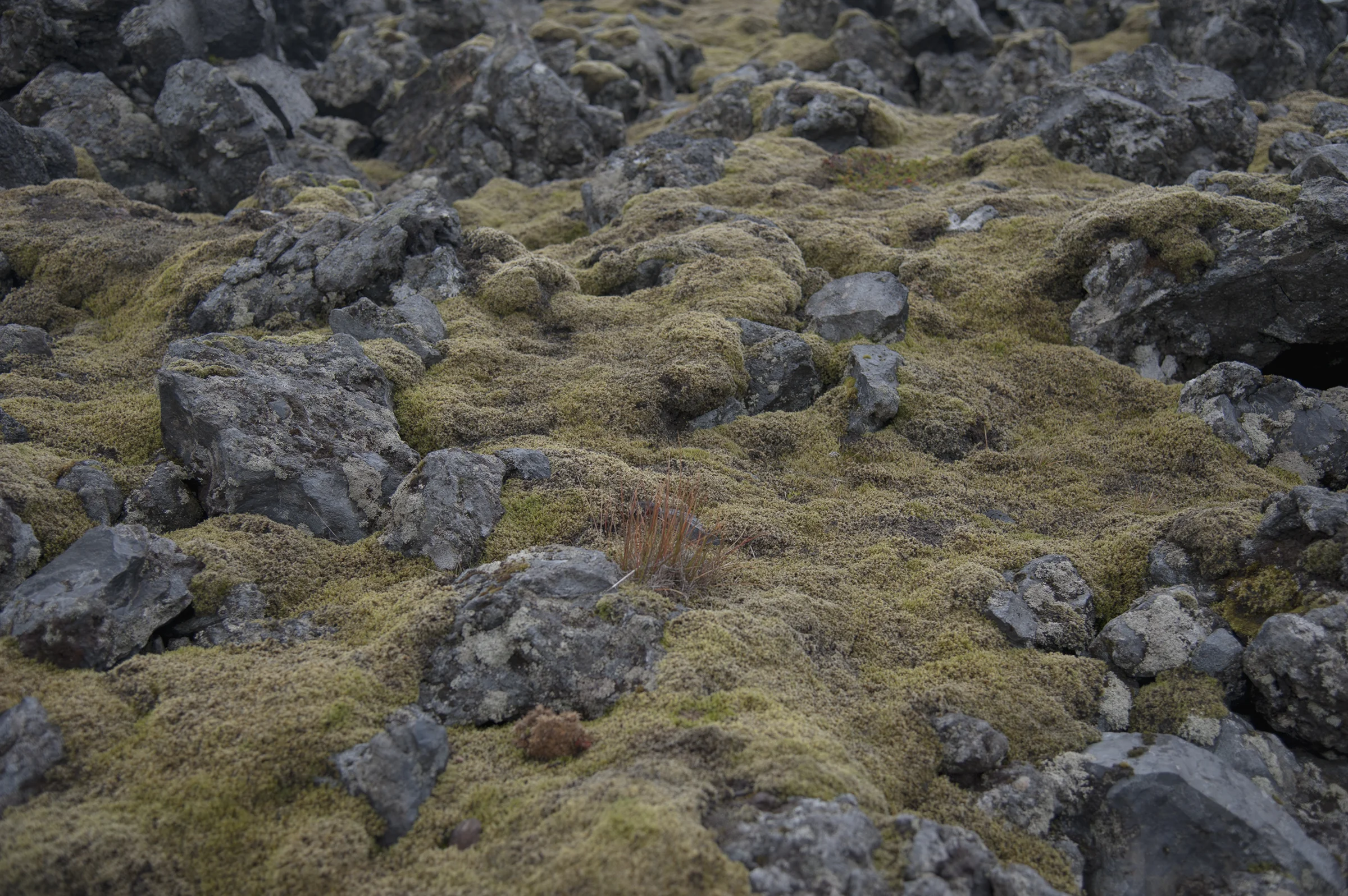 lava.jpg