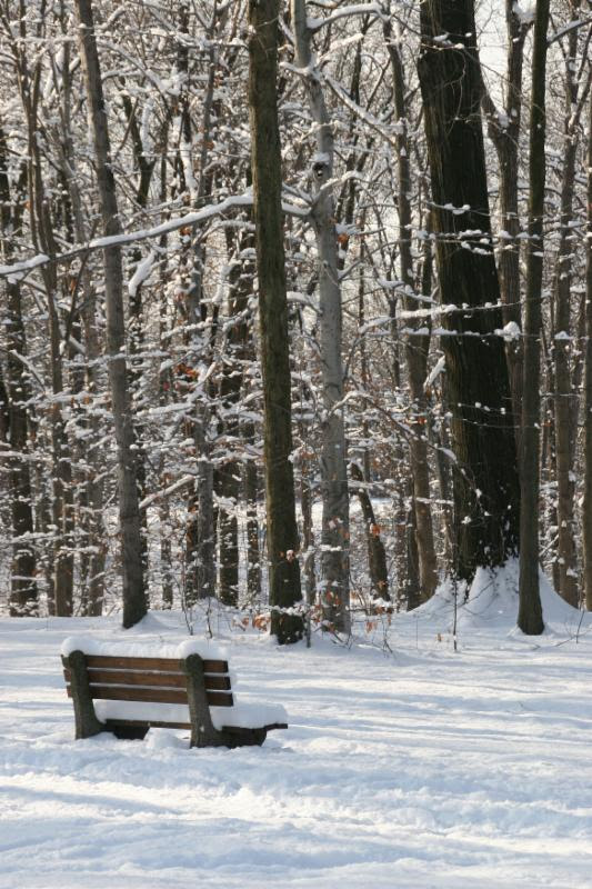 Nothing says "joy" like this lonely picture of a snow-covered bench. 