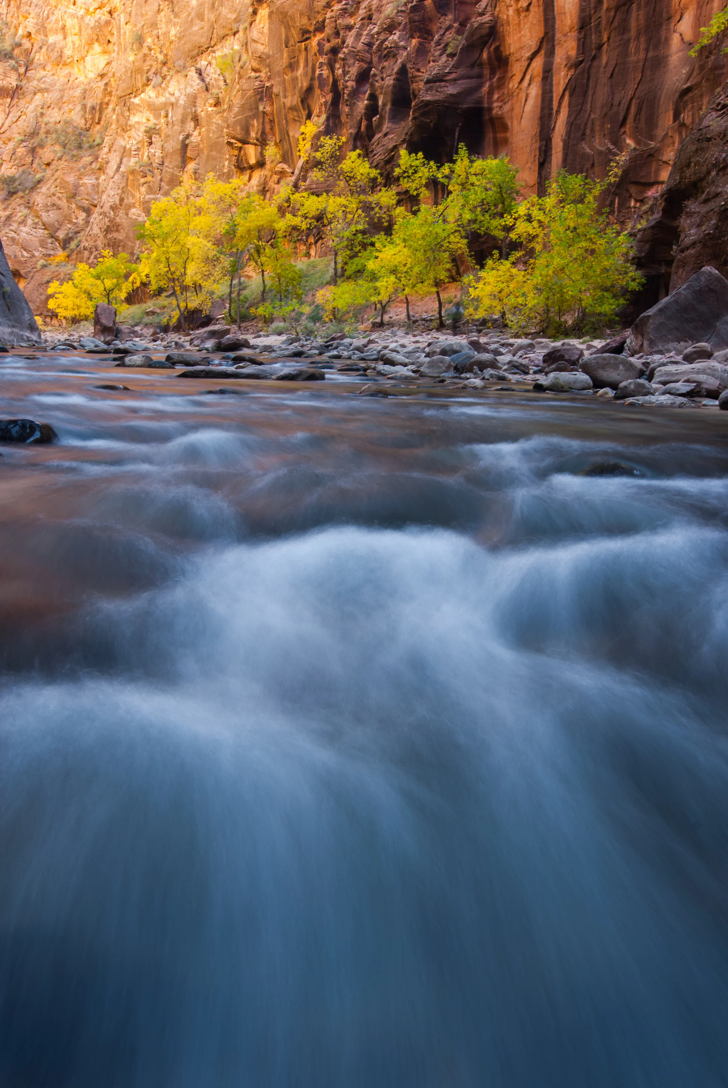 Zion Narrows Photo Tour
