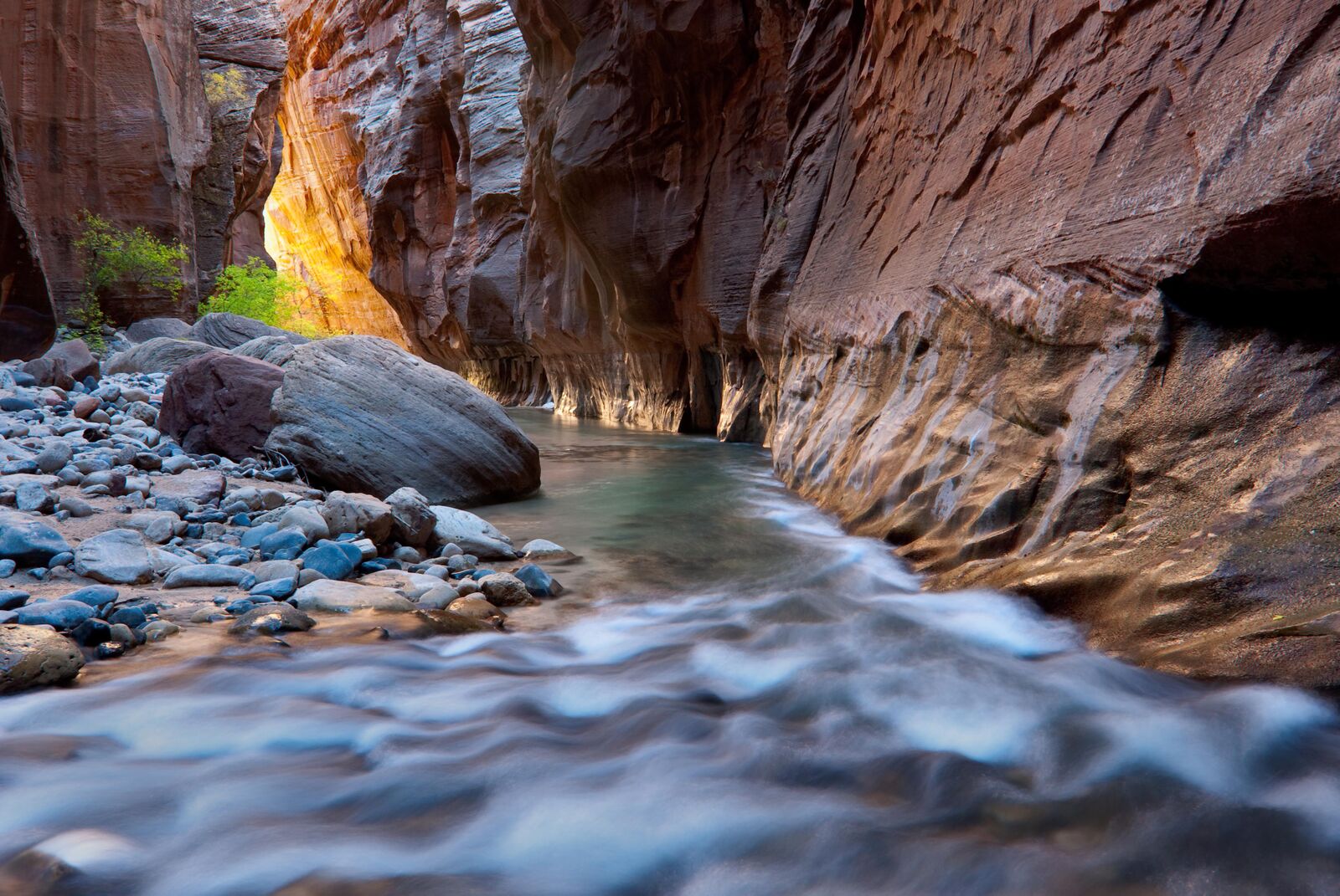 Zion Narrows Slot Canyon during Fall