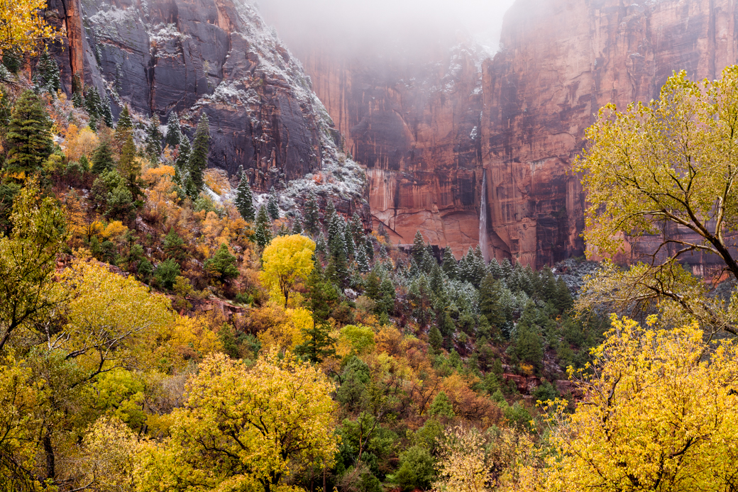 Waterfall in Zion National Park with Fall Foliage