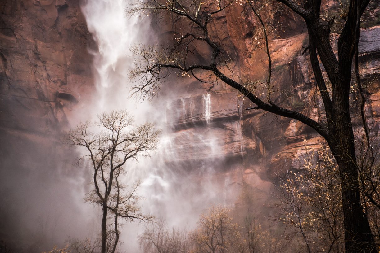 Zion Waterfall with Tree during Autumn