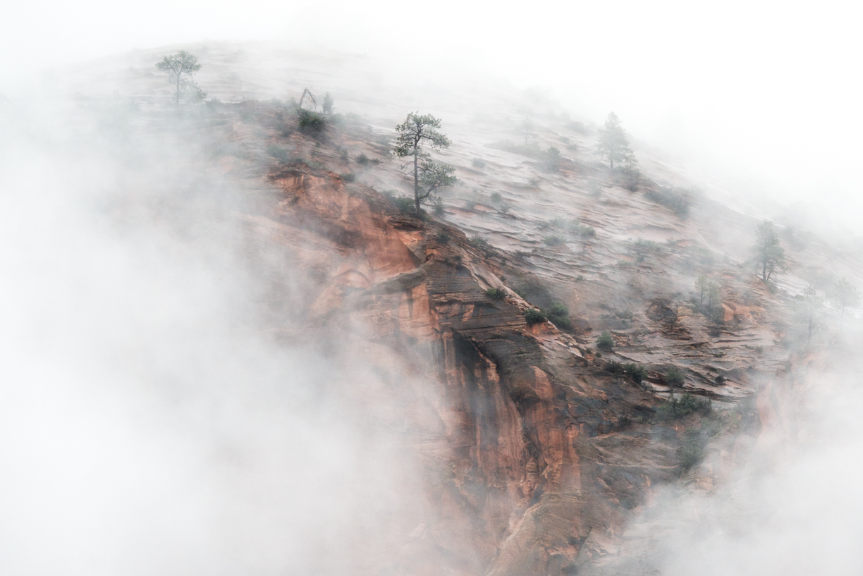Fog Surrounding Mountain and Trees in Zion