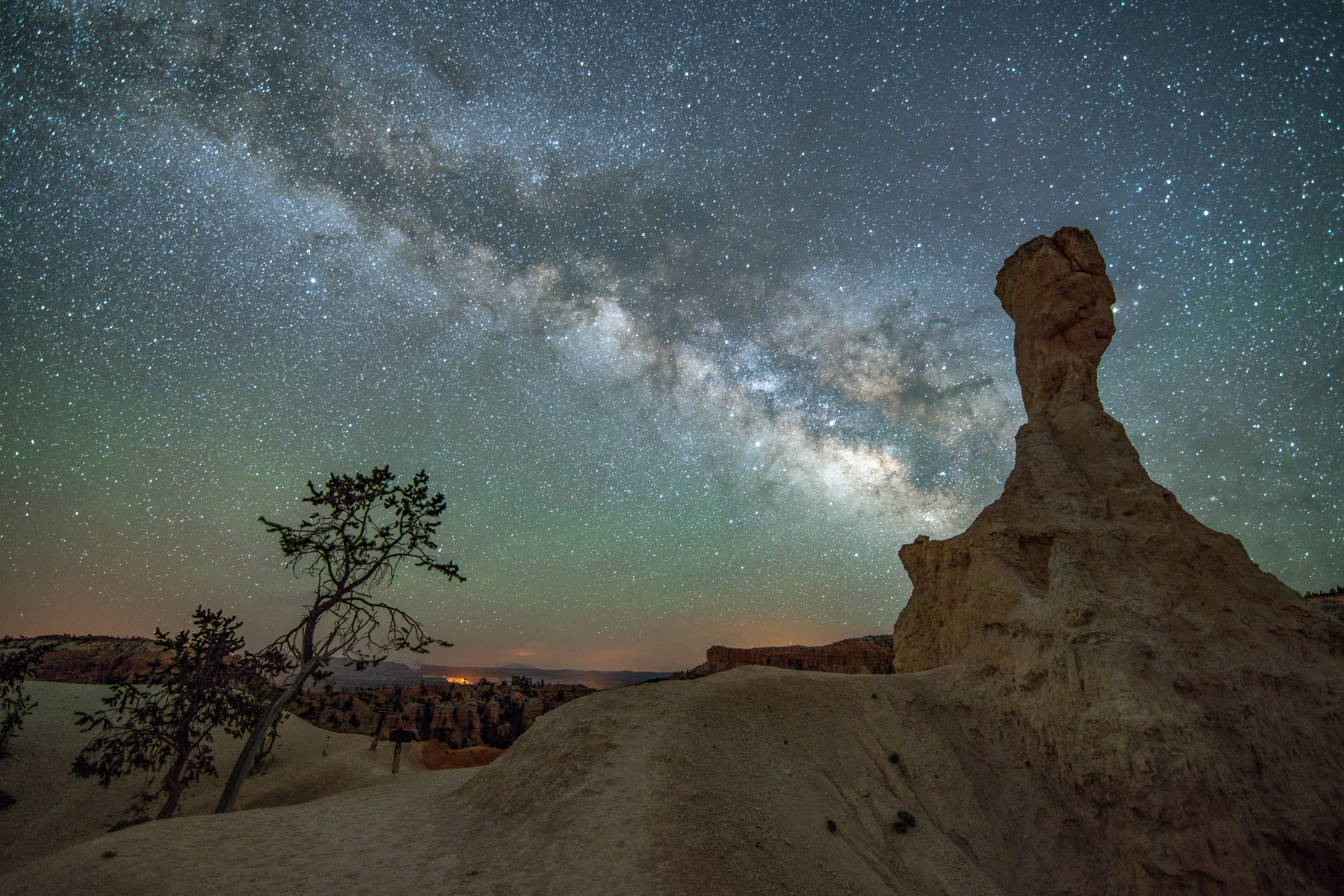 Hoodoo in Bryce Canyon with Milky Way and Tree