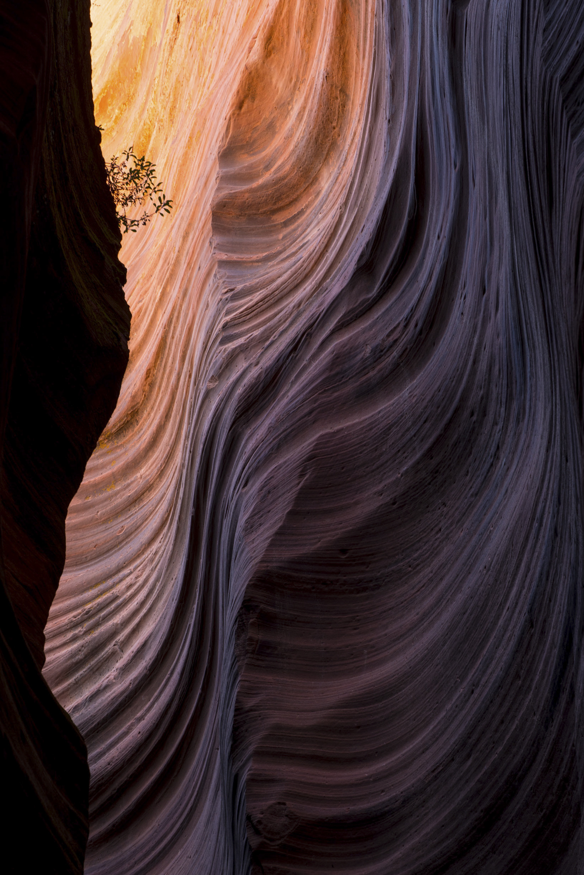 Slot Canyon Photo Tour with Reflected Light