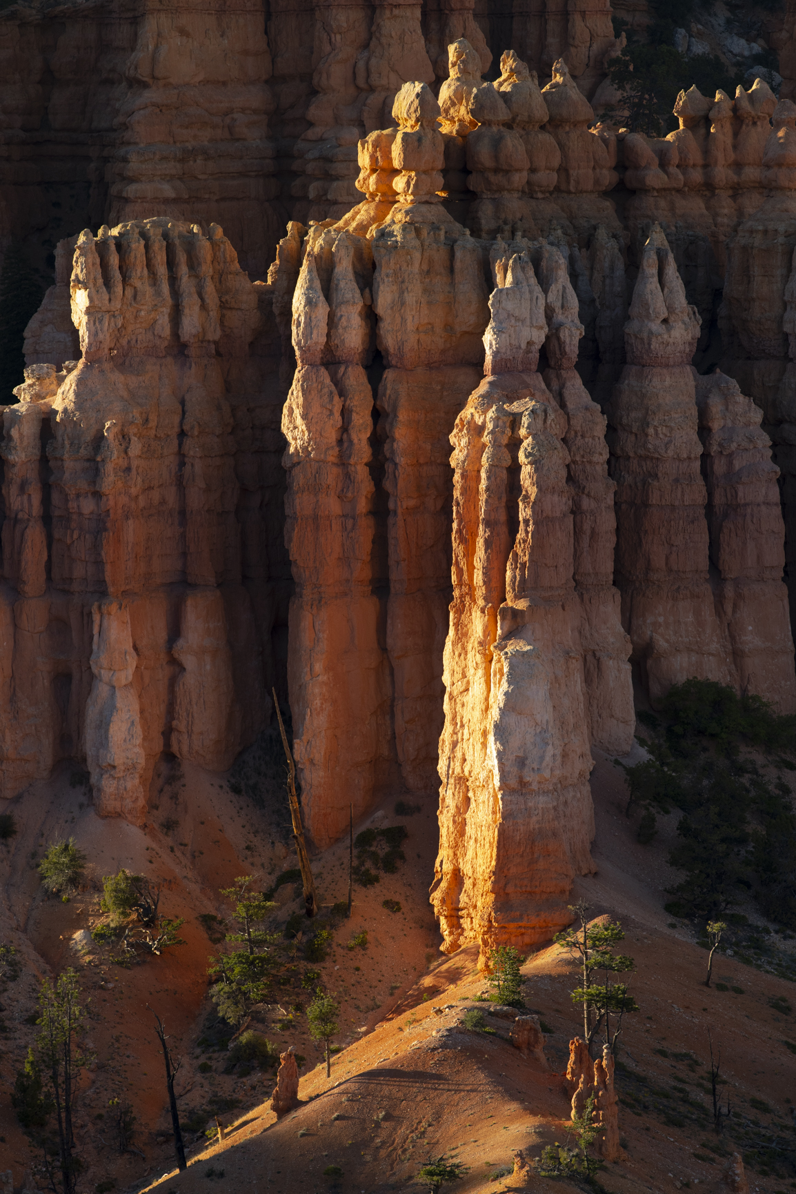 Bryce Canyon National Park with Glowing Hoodoos and Light