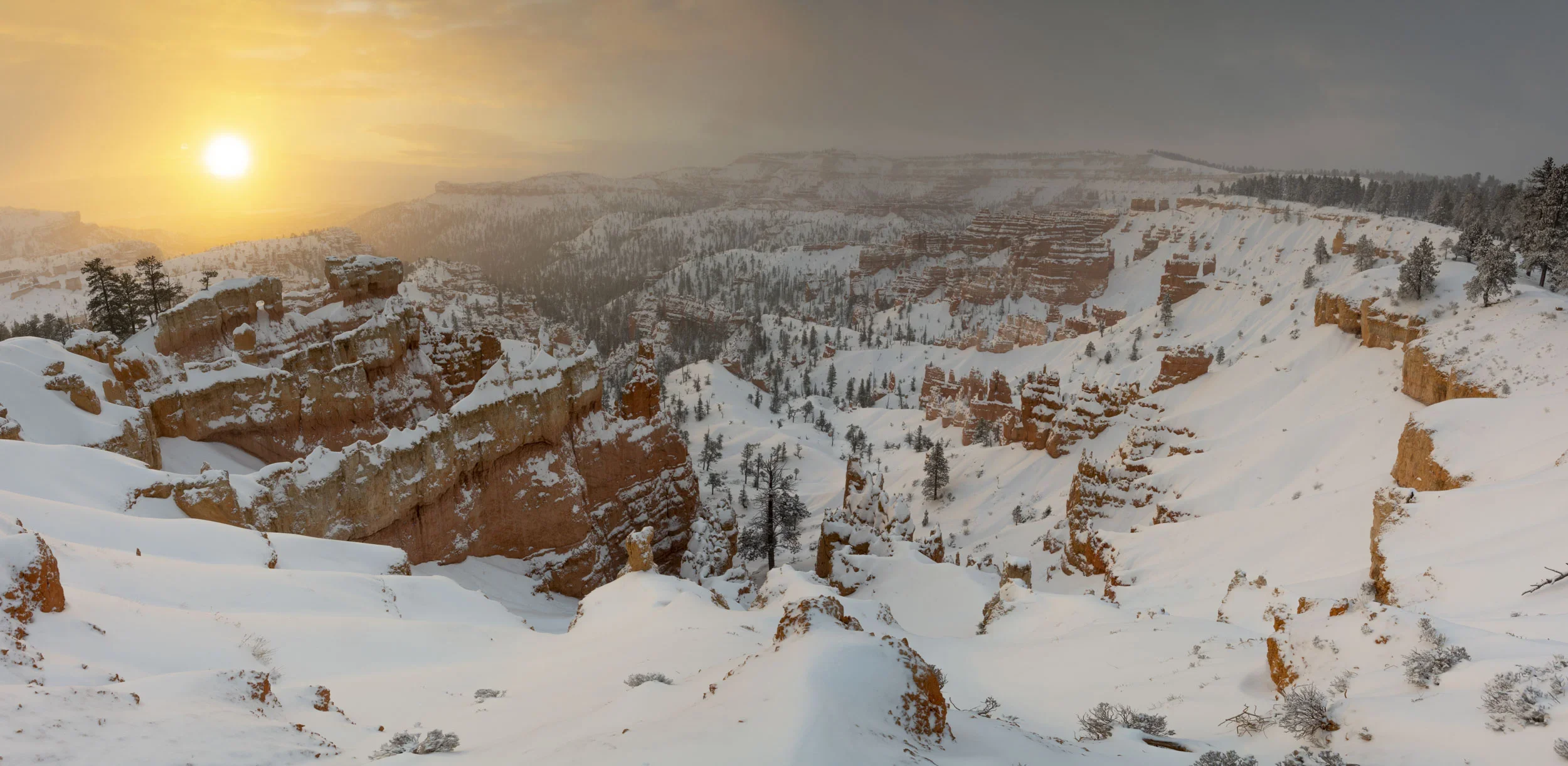 DSC_2745-Pano.webp