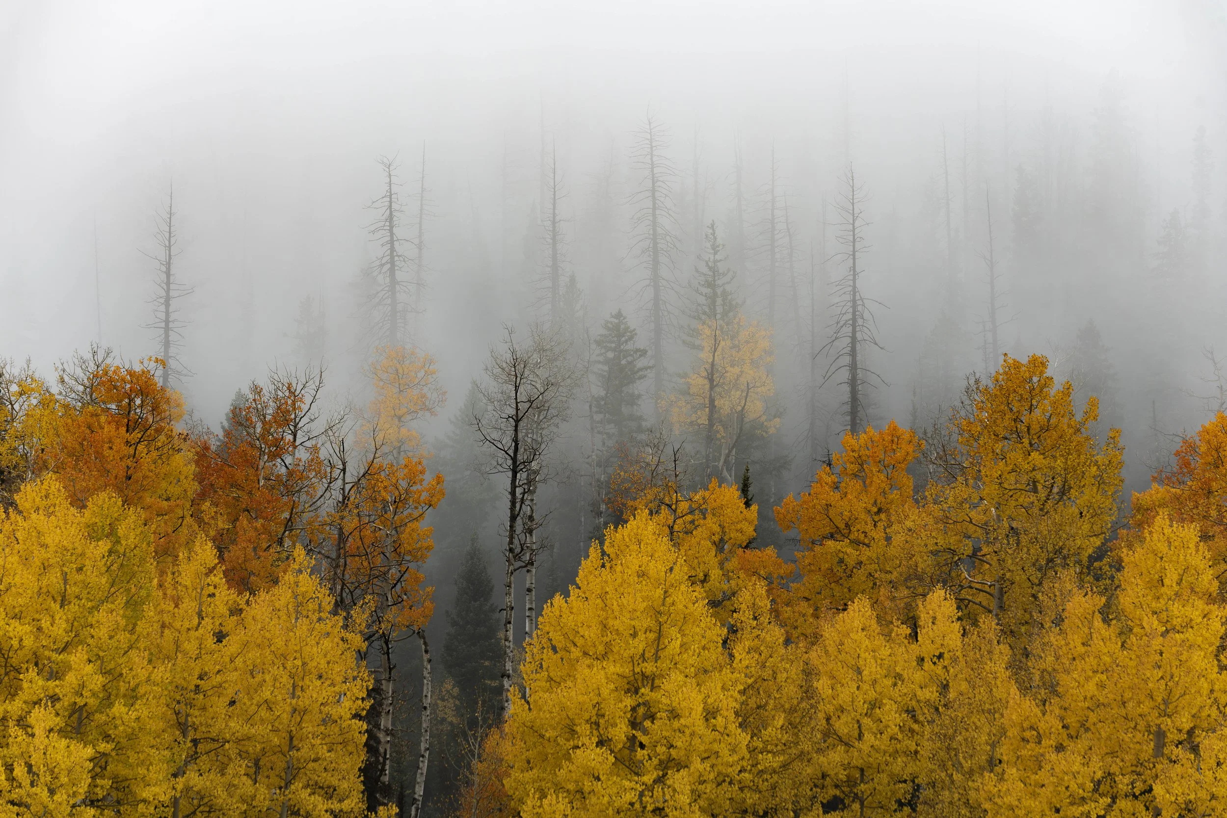 Fall on the mountain-27.jpg