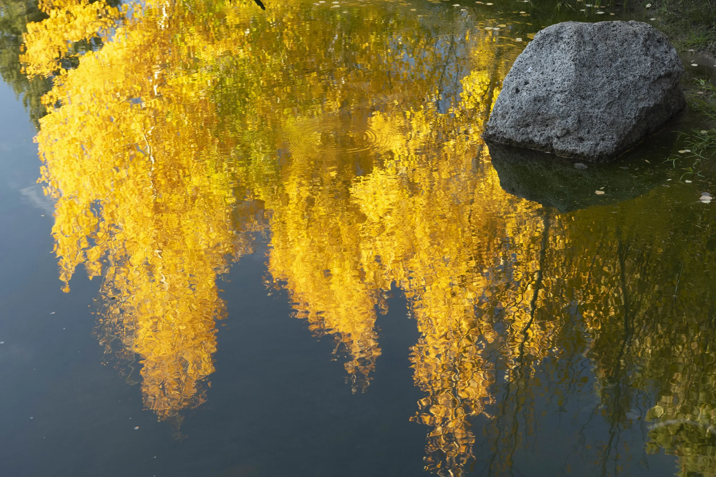 Fall on the mountain-19.jpg