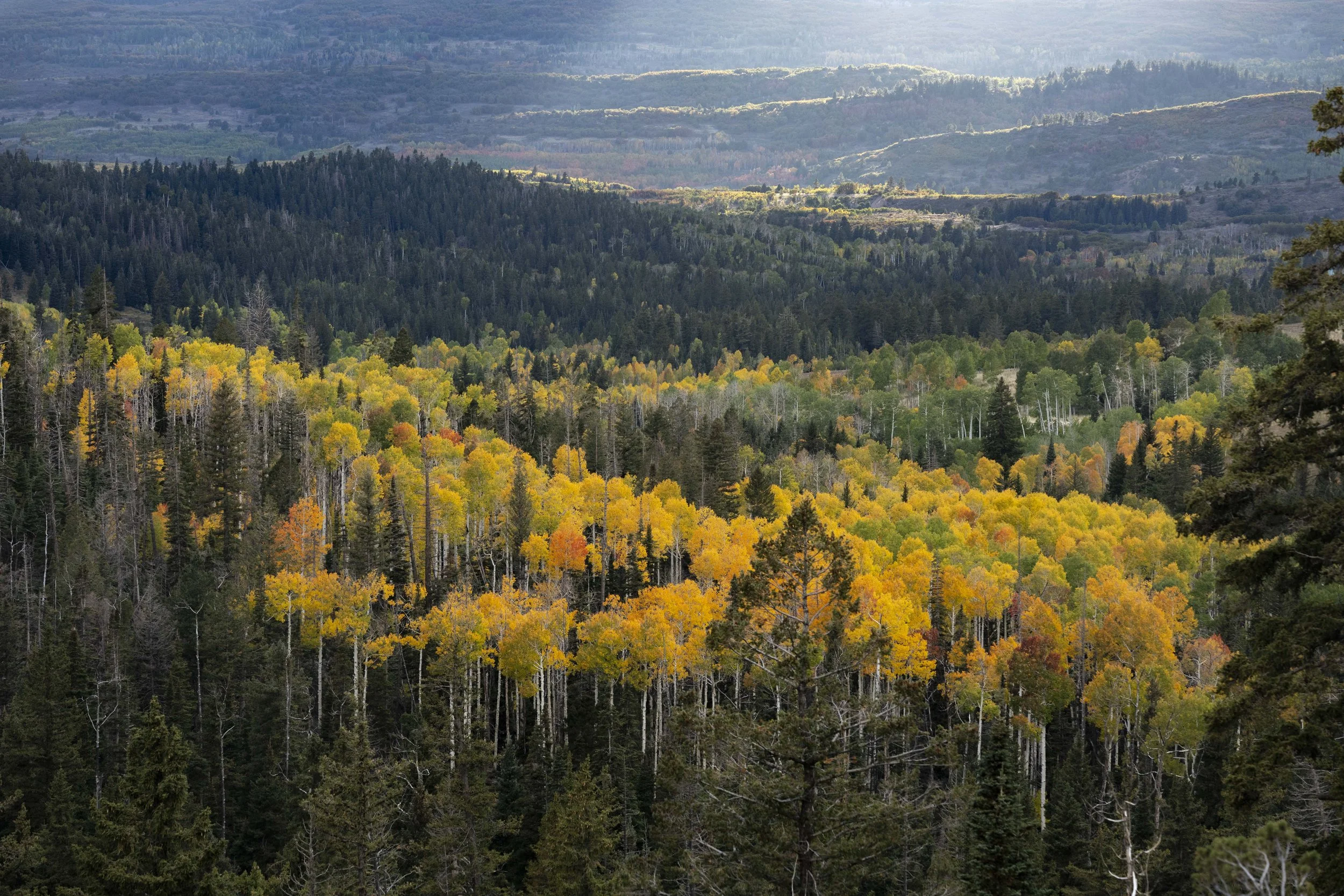 Fall on the mountain-9.JPG