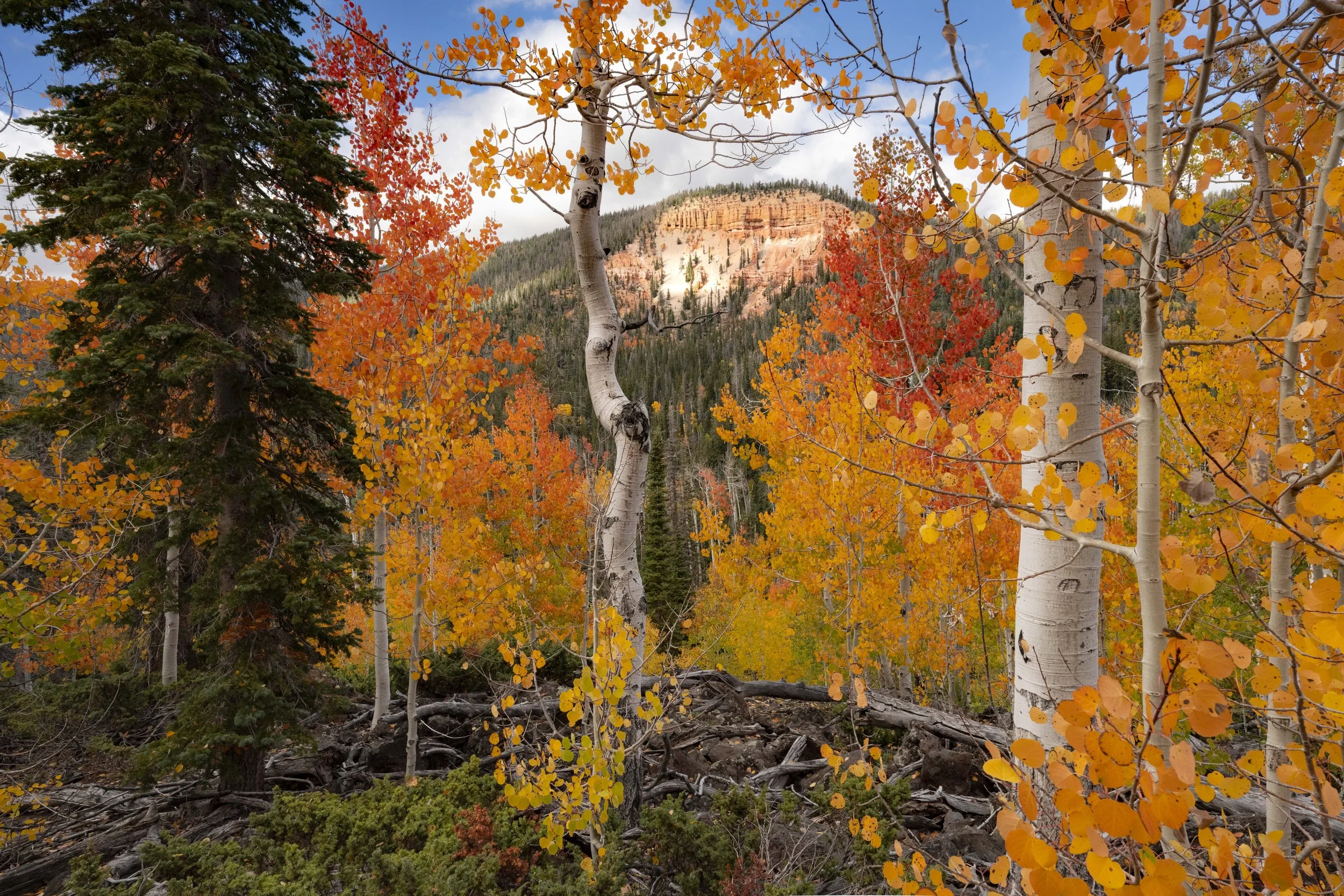 Fall on the mountain-10.JPG