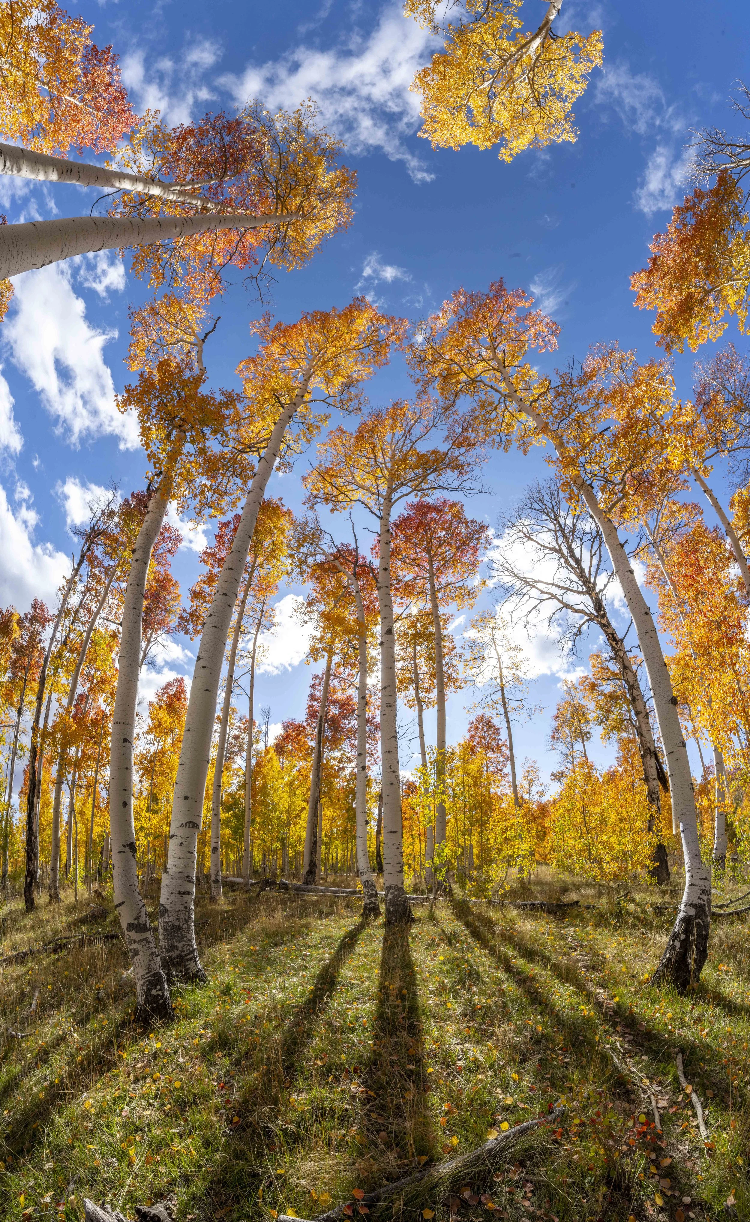 Fall on the mountain-18.JPG