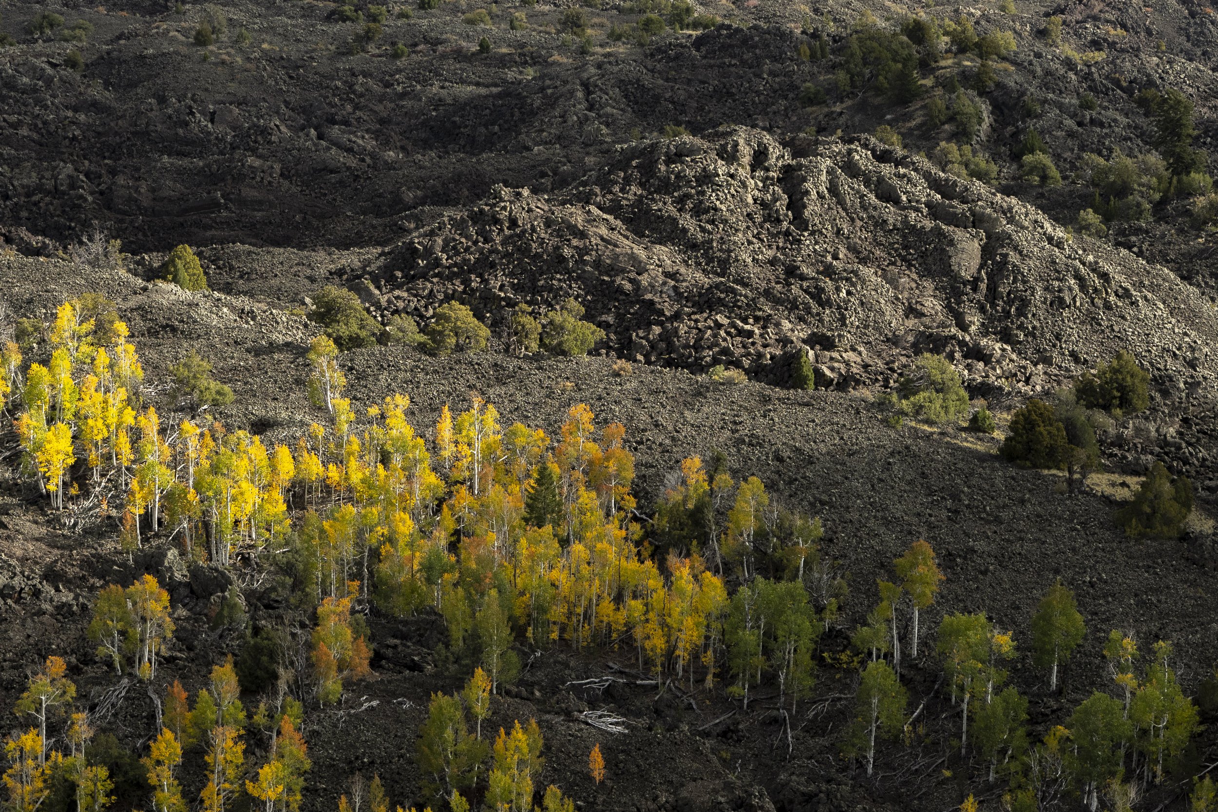 Fall on the mountain-16.JPG