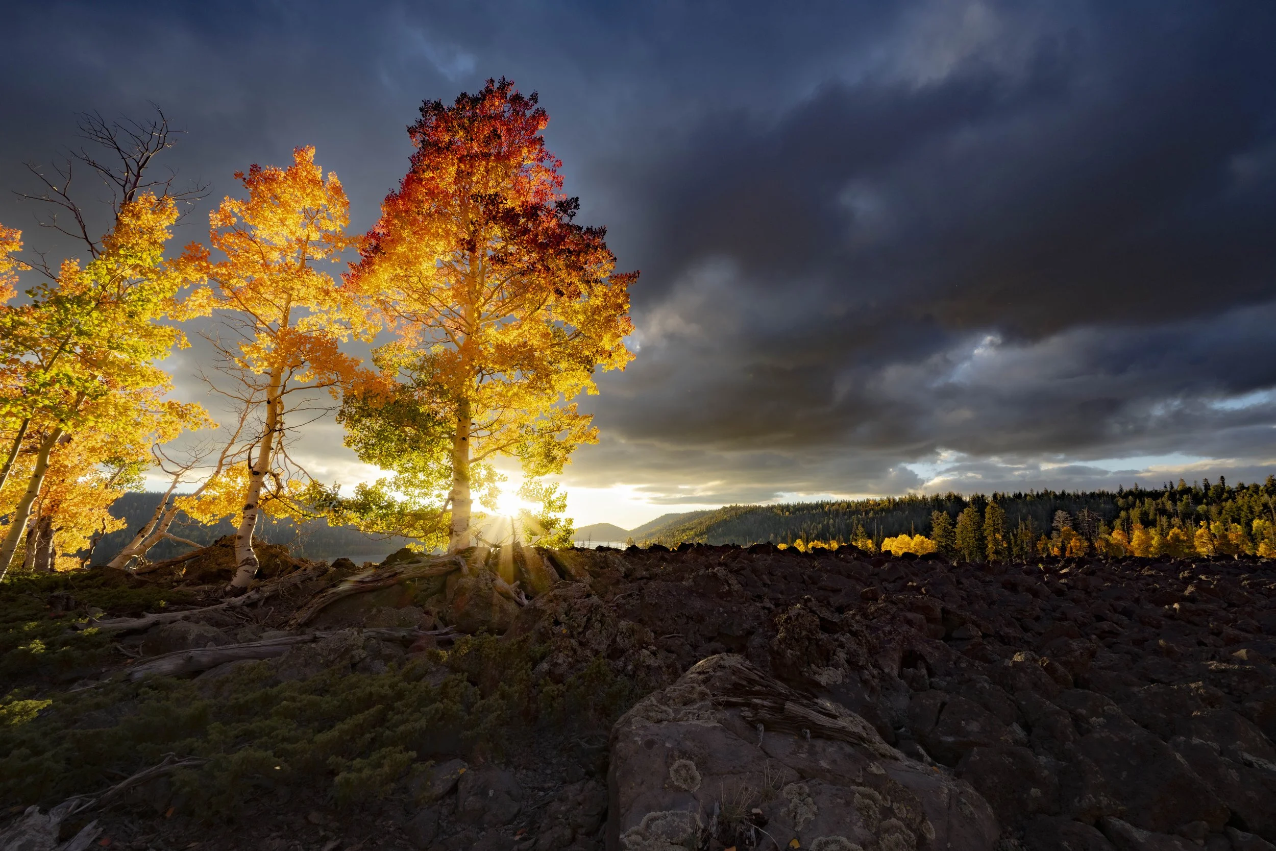 Fall on the mountain-13.JPG