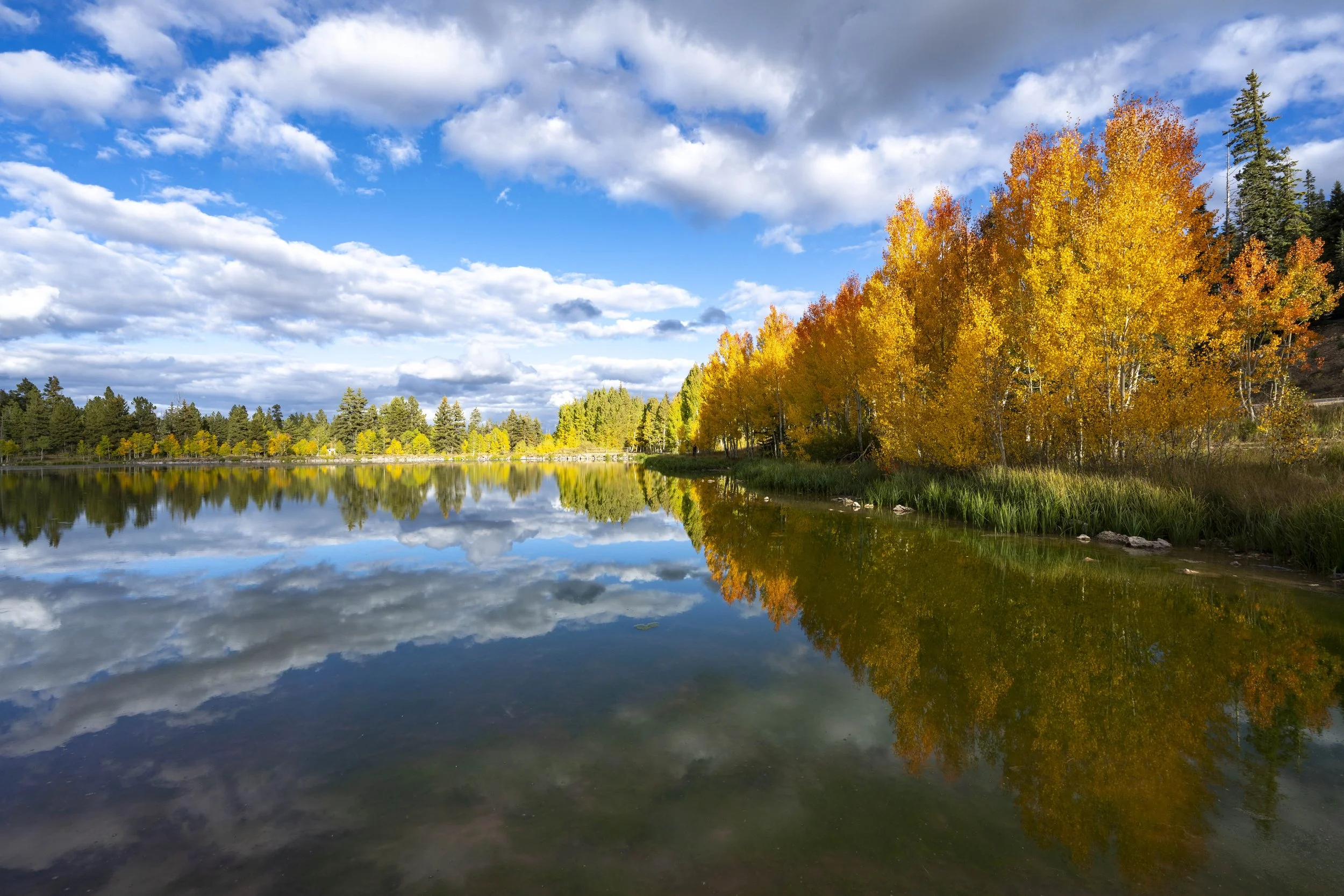 Fall on the mountain-12.JPG