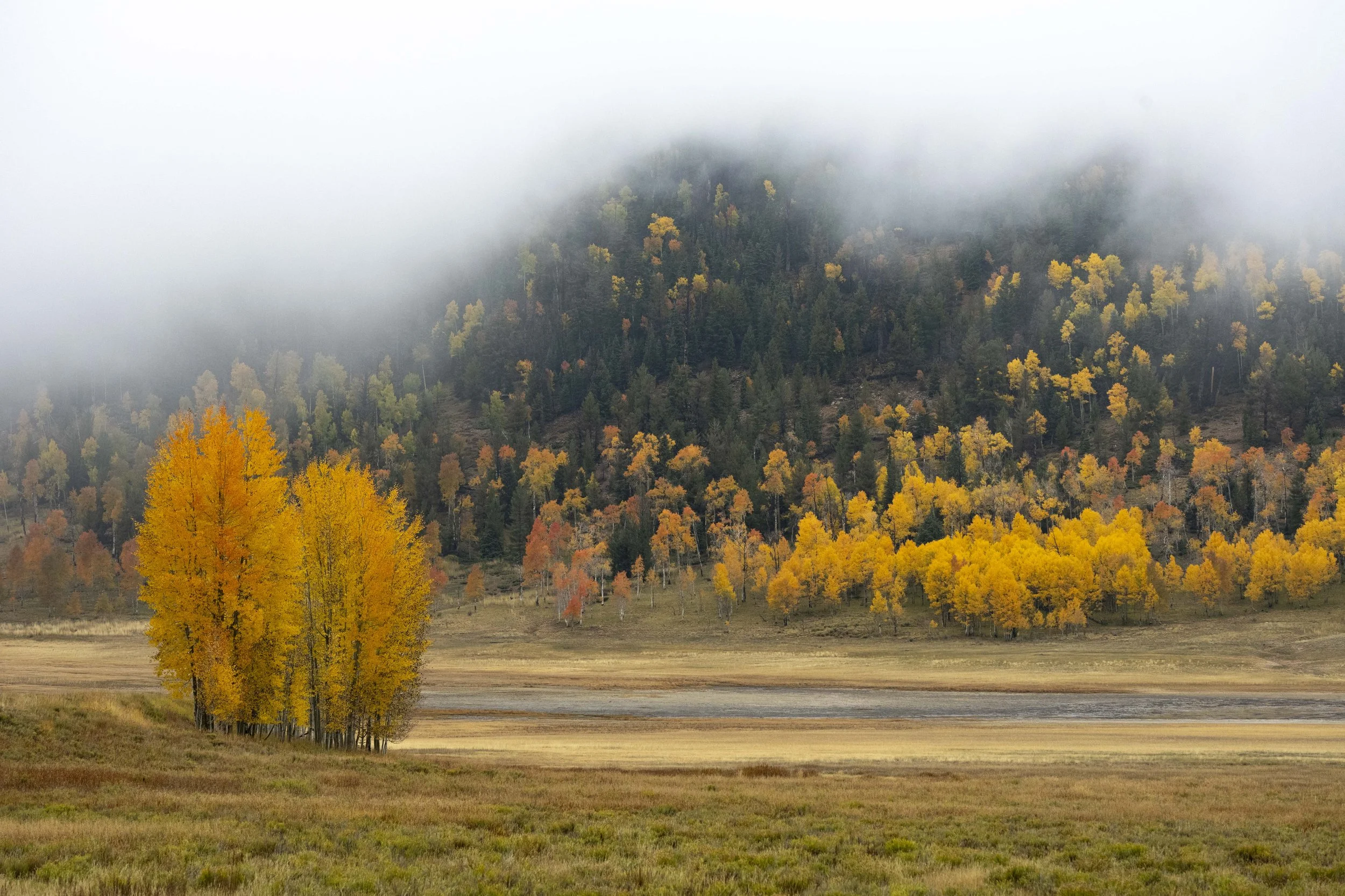 Fall on the mountain-26.JPG