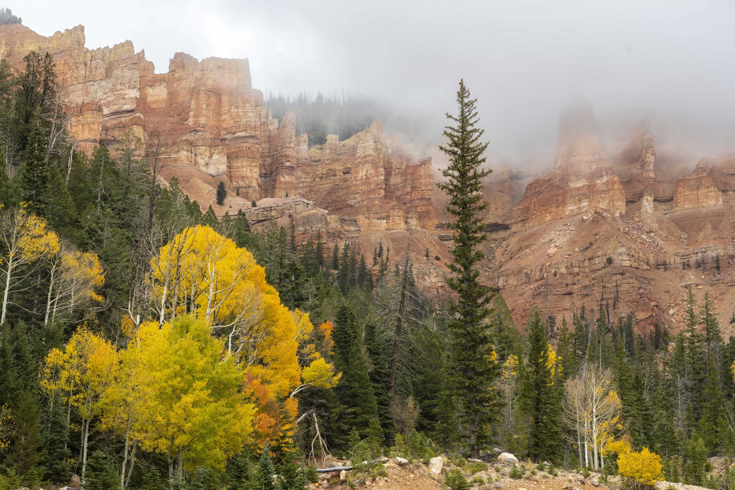 Fall on the mountain-30.JPG