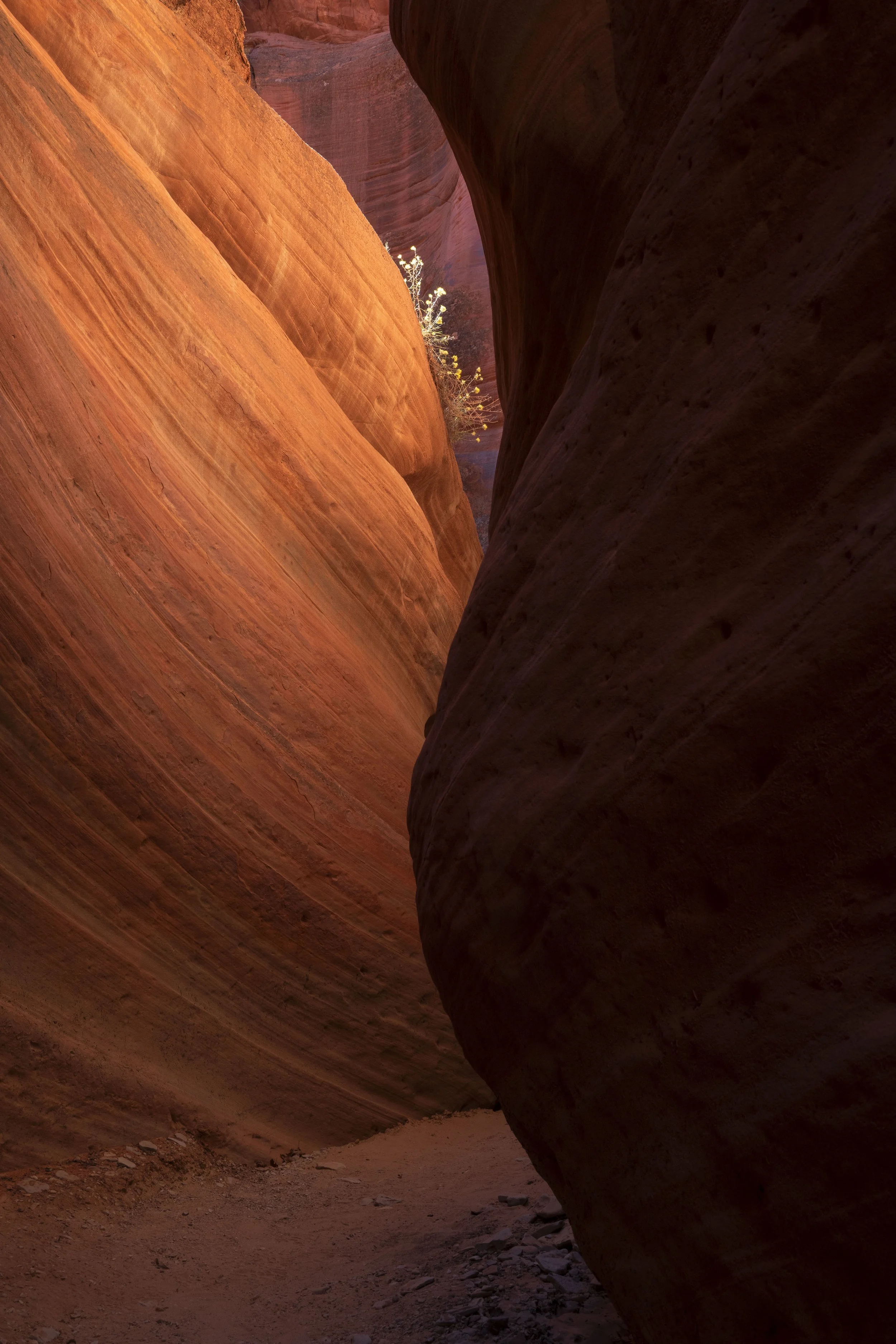 Fall on the mountain-20.JPG