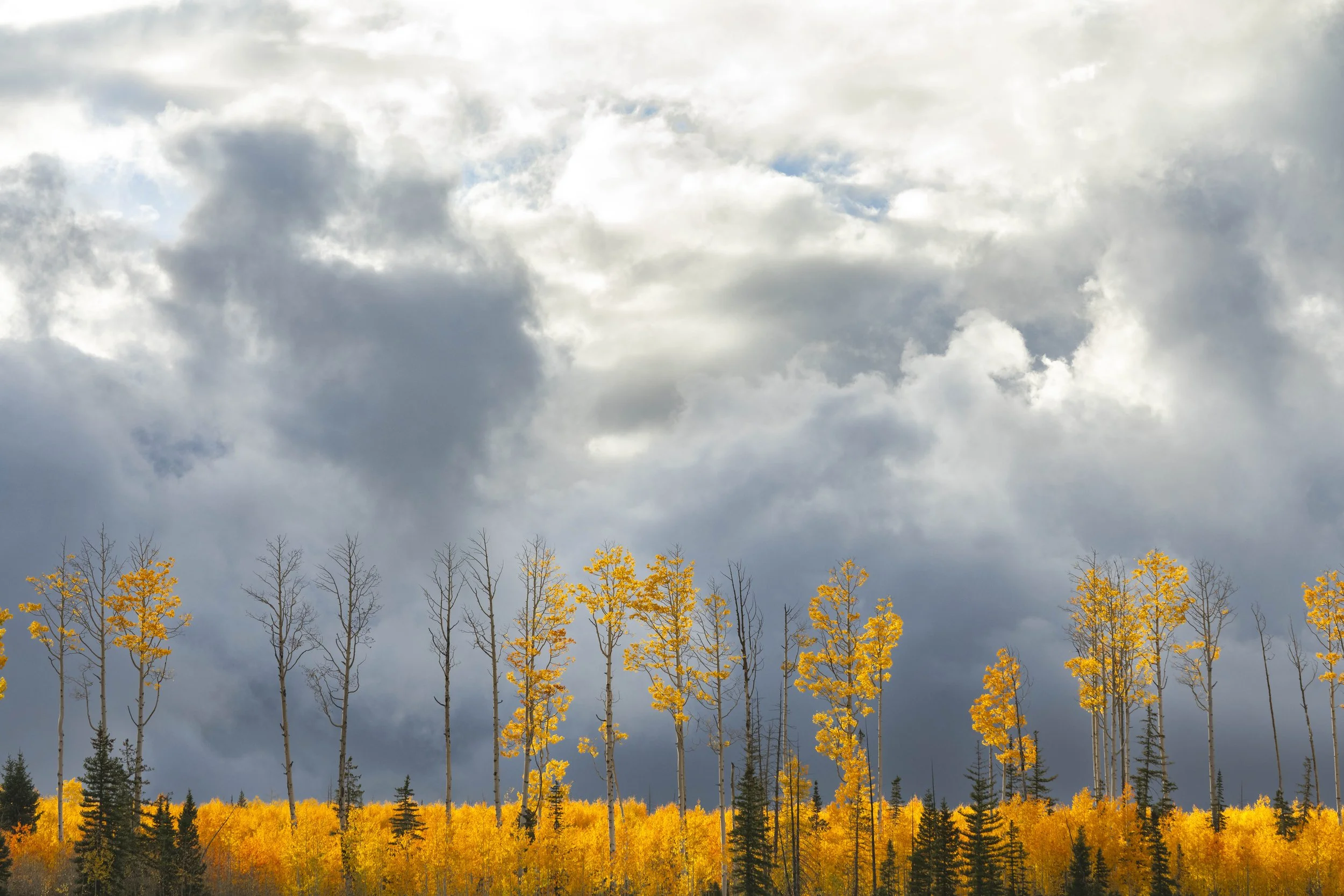 Fall on the mountain-8.jpg