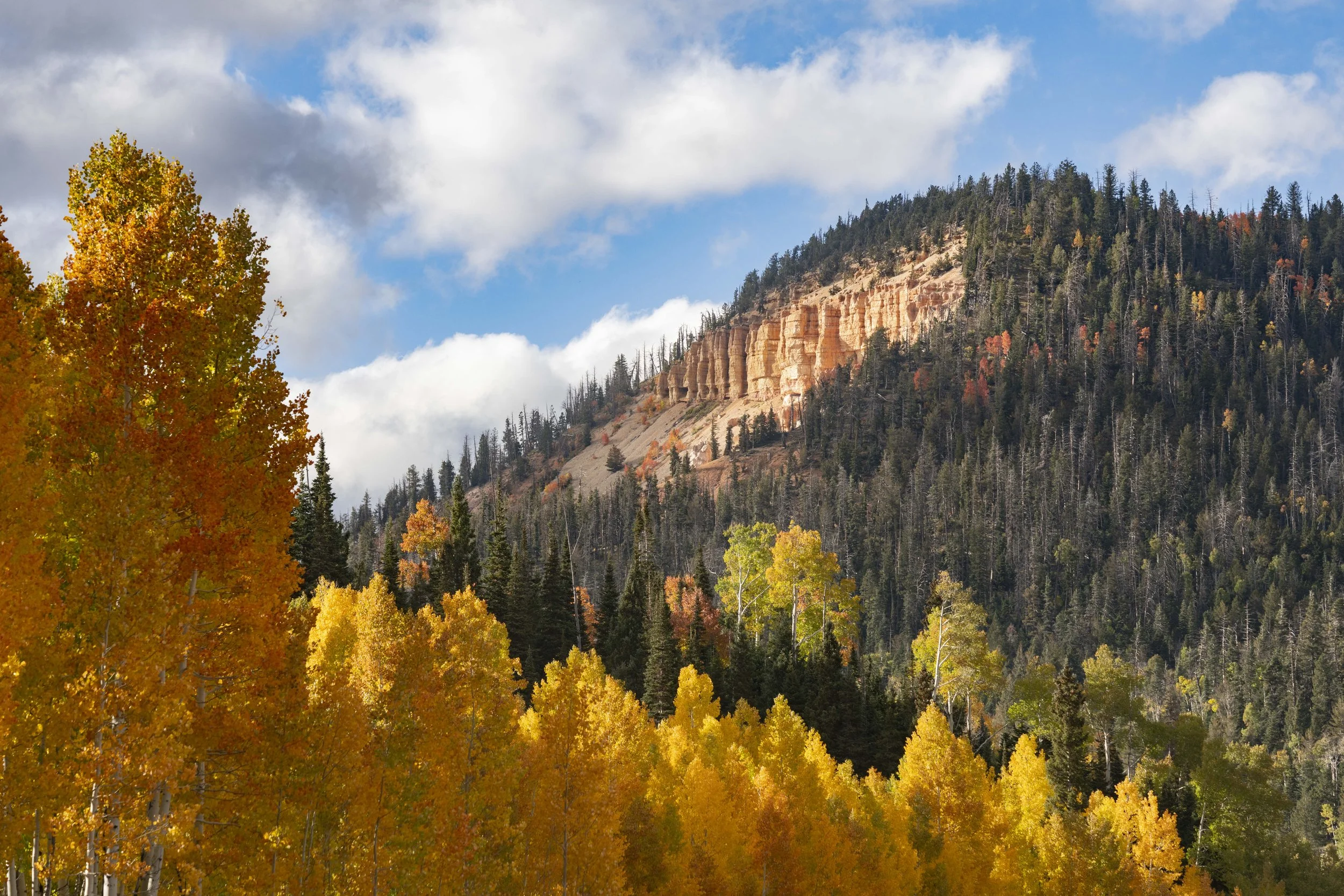 Fall on the mountain-11.jpg