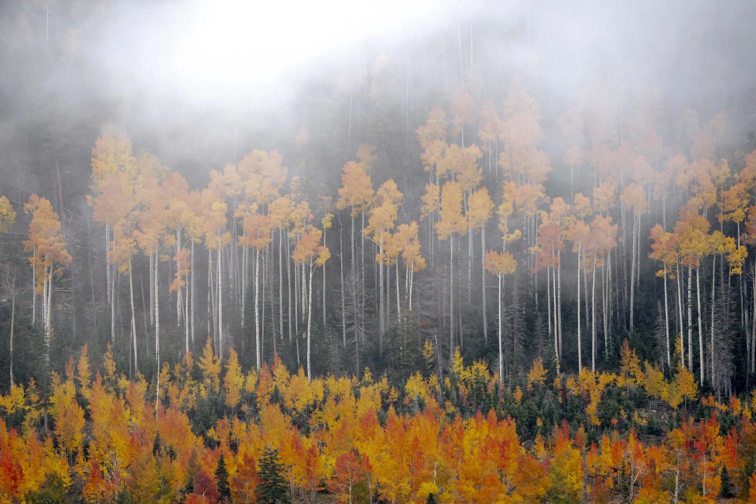 Fall on the mountain-14.jpg