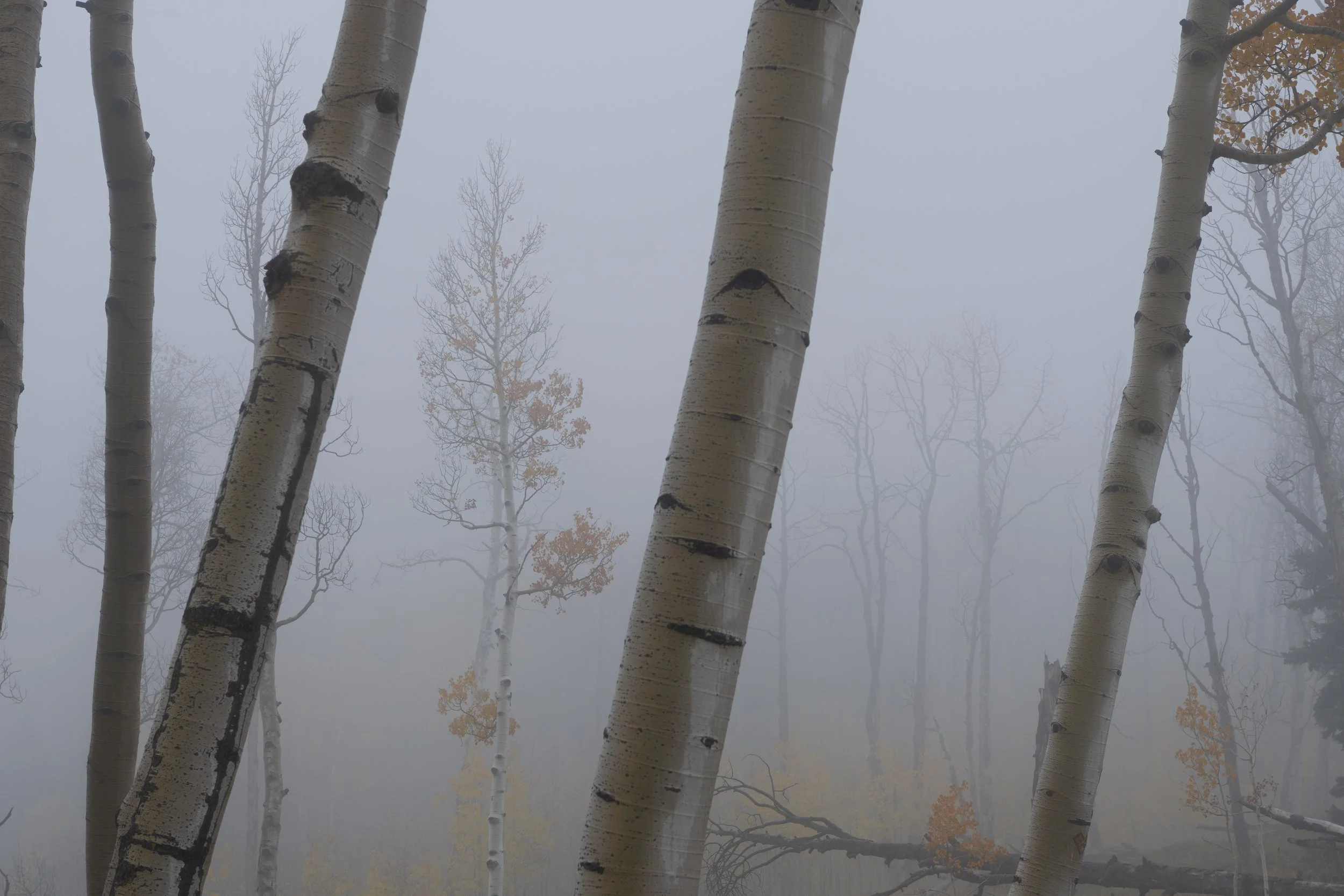 Fall on the mountain-35.jpg