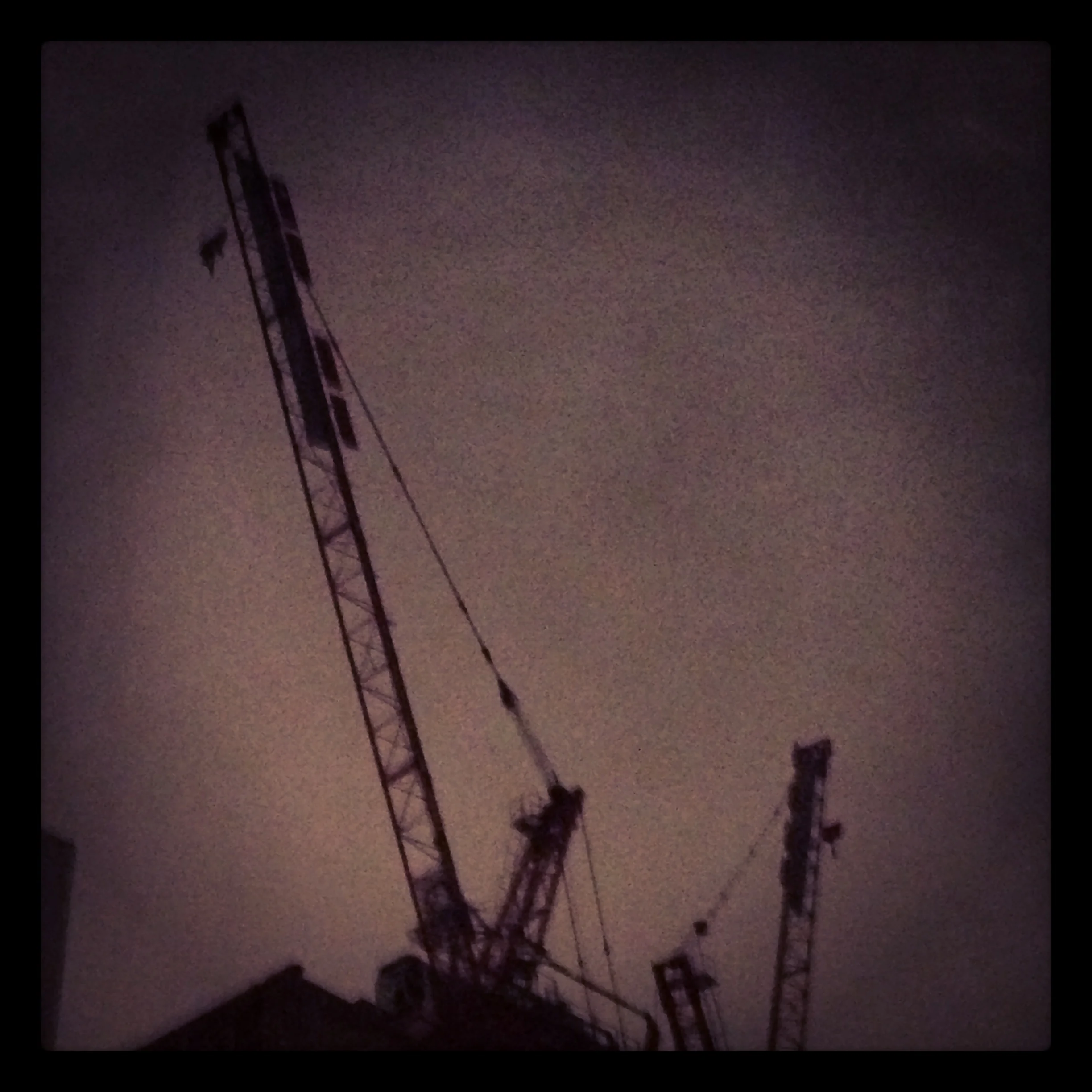 Crane