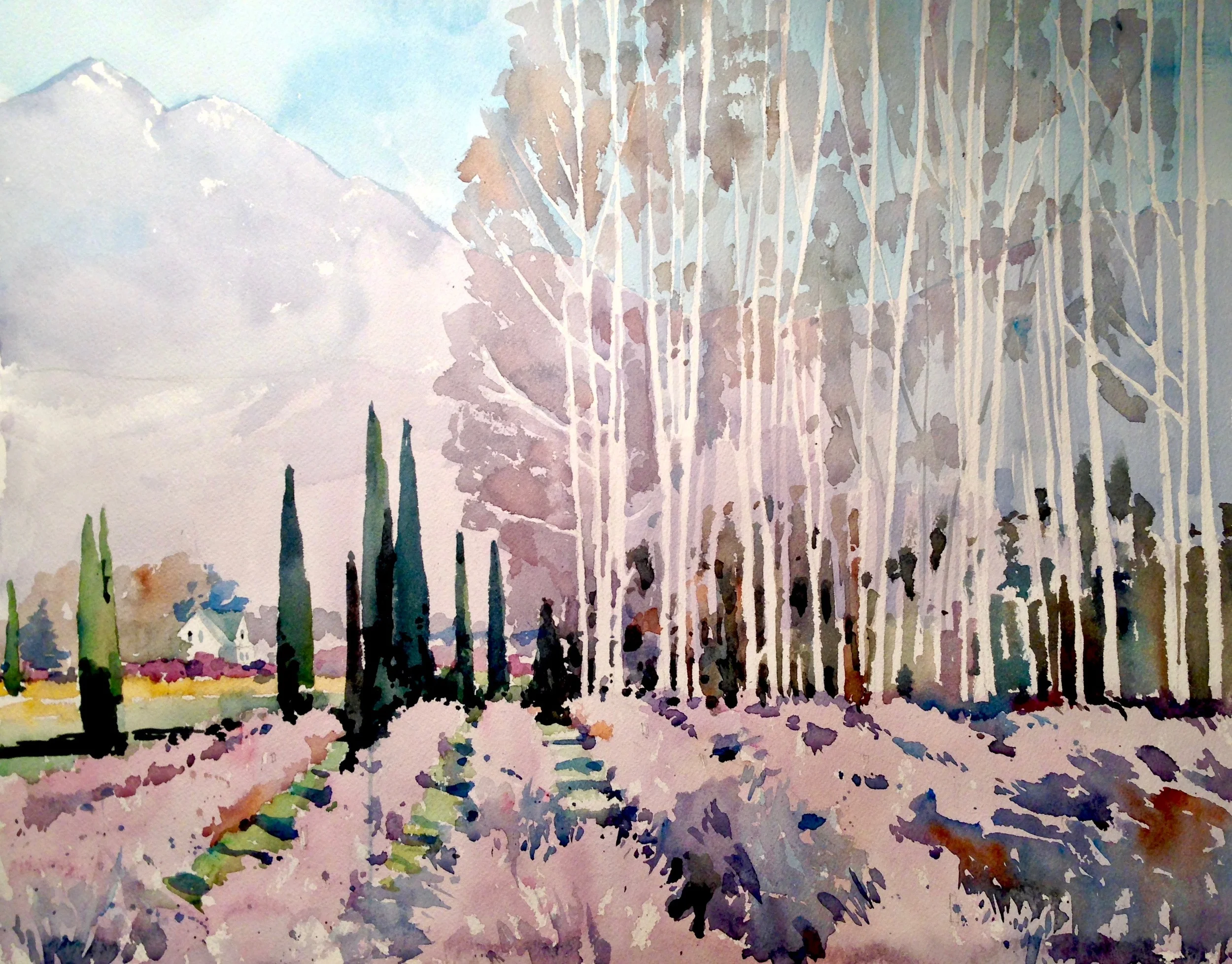 "2016 Works on Paper" at the Federation Gallery