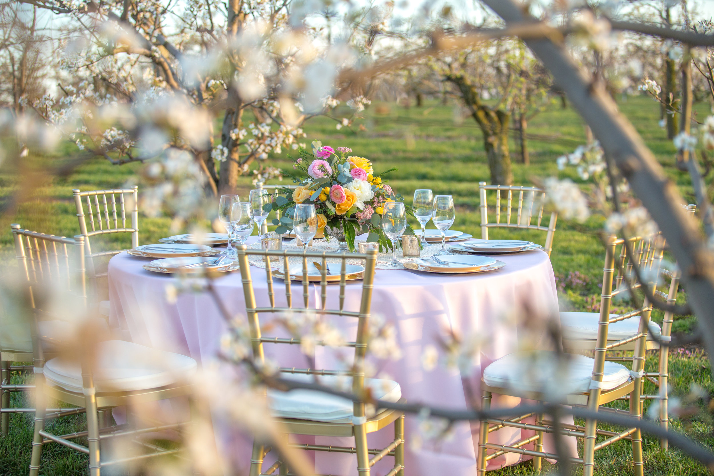 Styled Shoot at Evan's Orchard 40.jpg