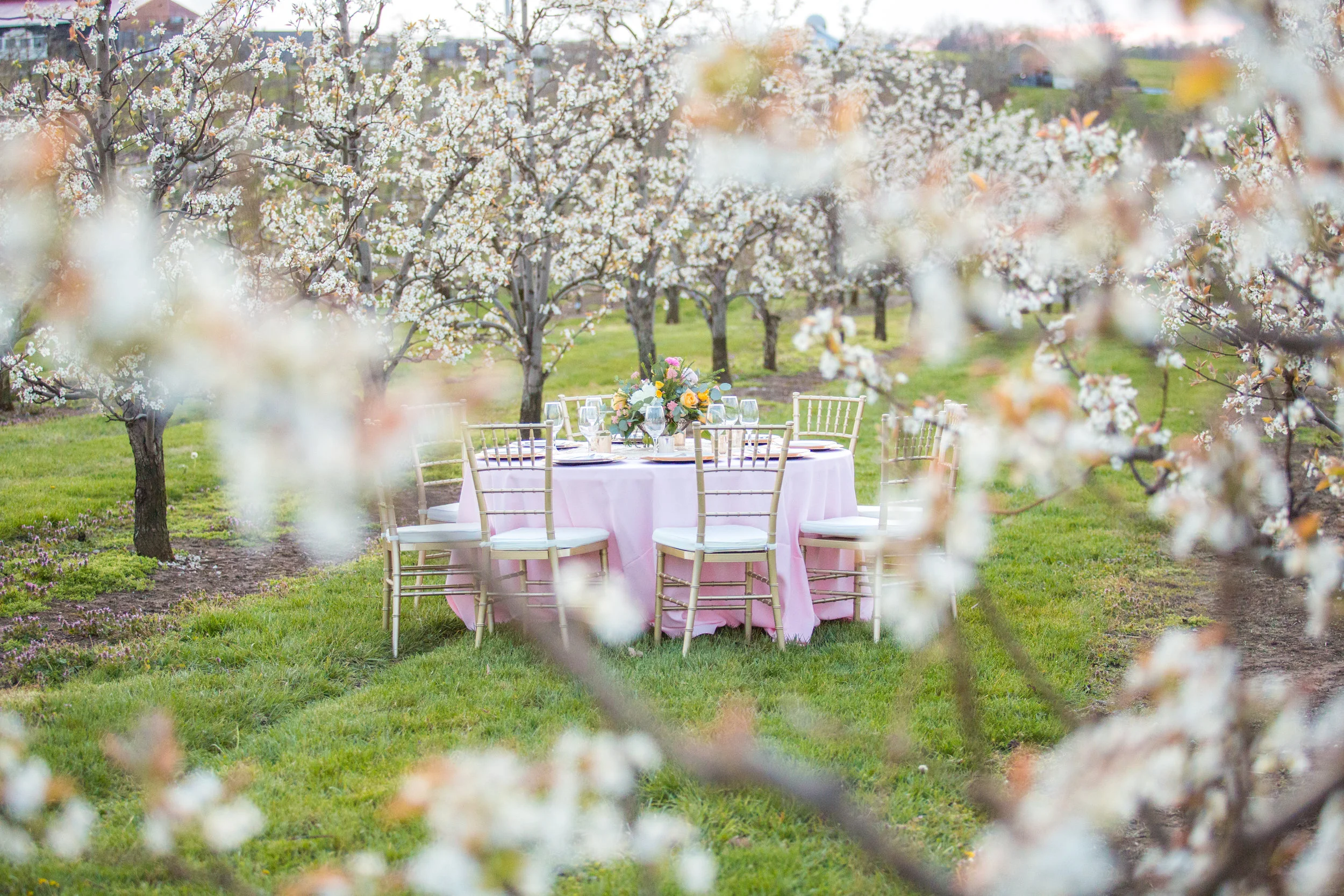 Styled Shoot at Evan's Orchard 74.jpg