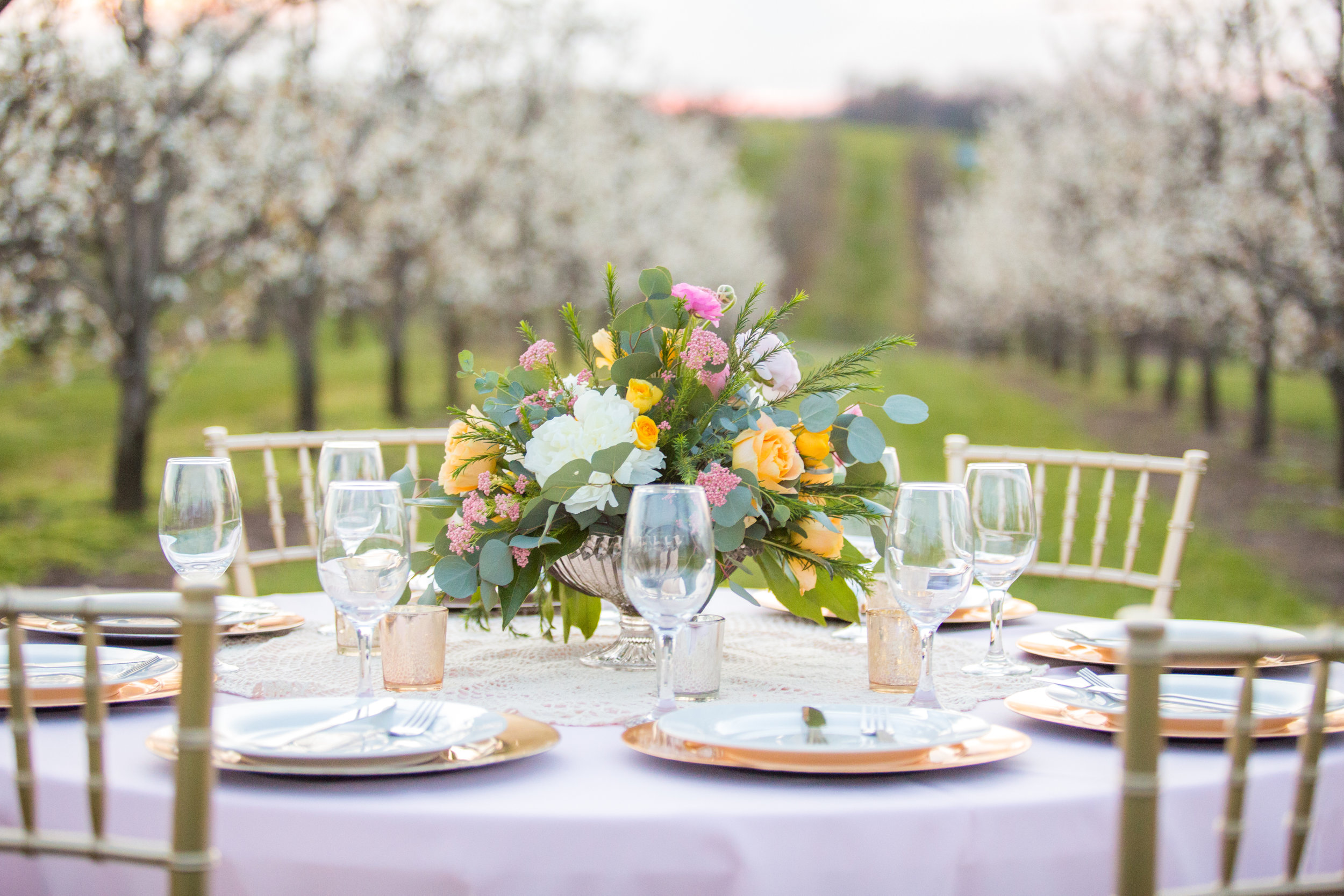 Styled Shoot at Evan's Orchard 75.jpg