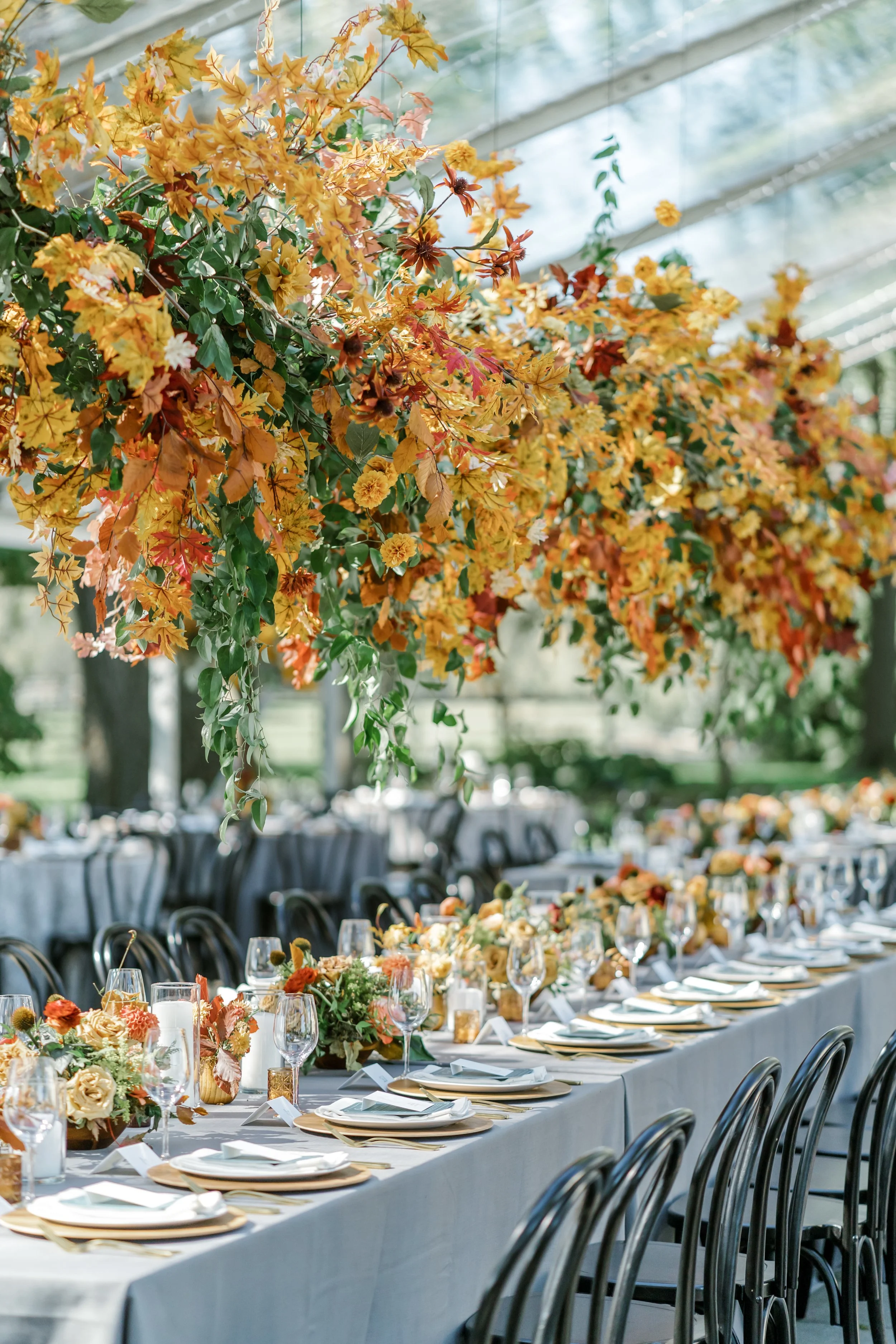 Megan Noll  Arani - Reception-26.jpg