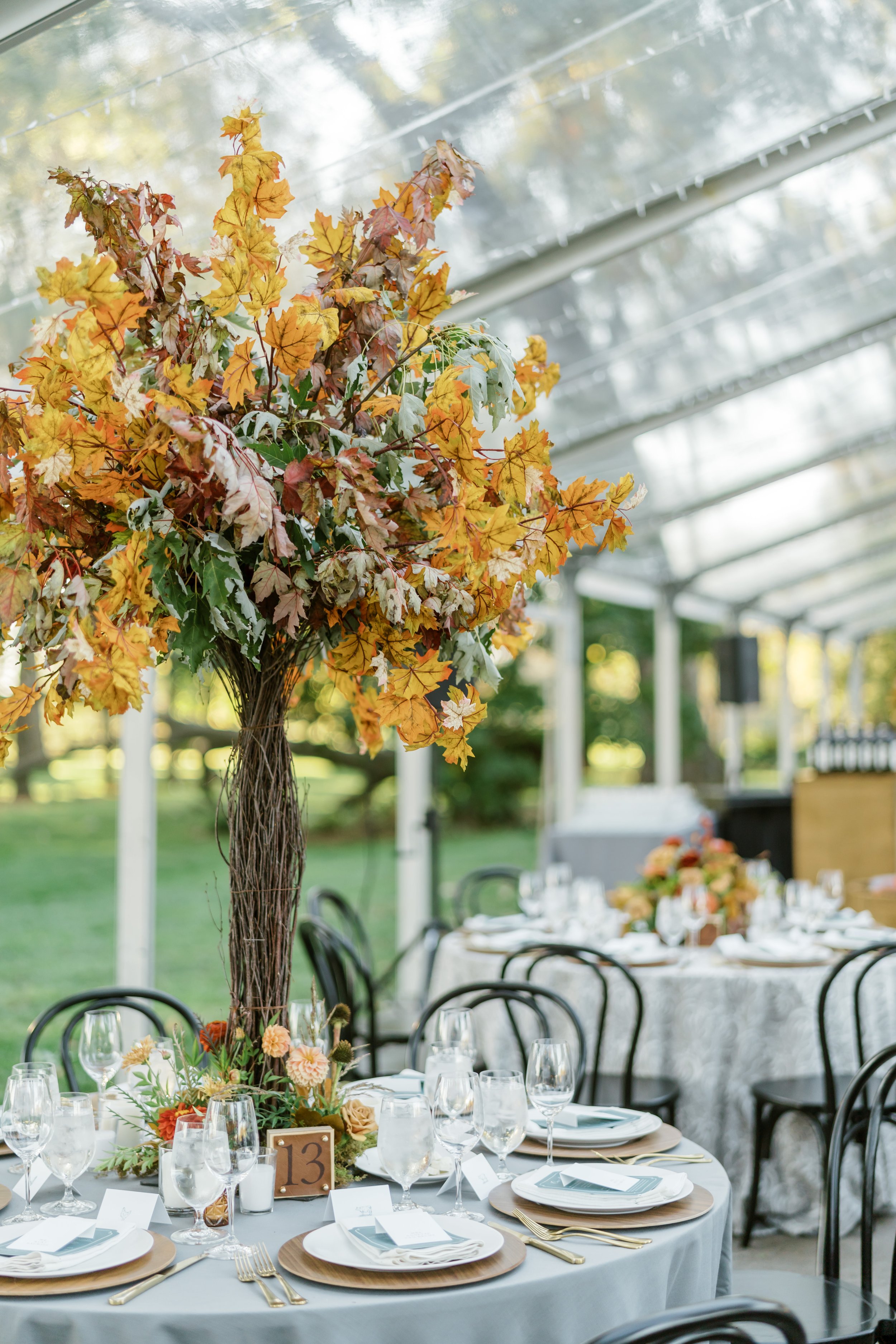 Megan Noll  Arani - Reception-90.jpg