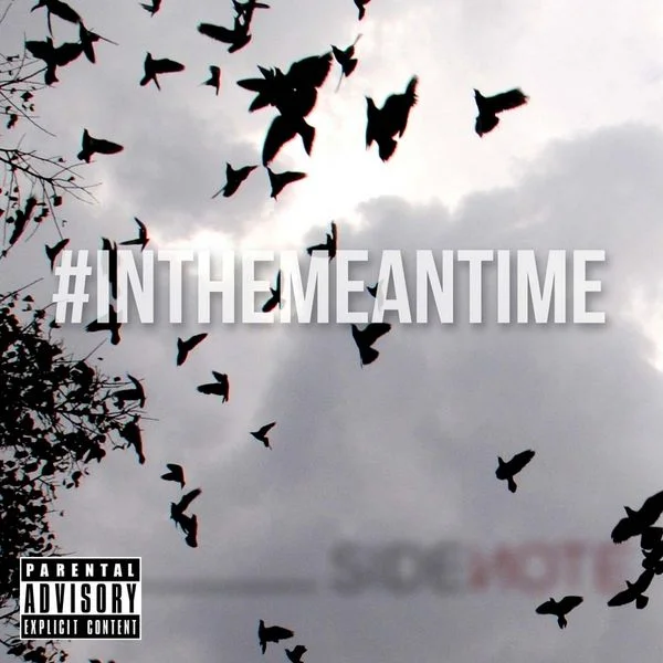 00 - FIDZO_inthemeantime-front-large.jpg