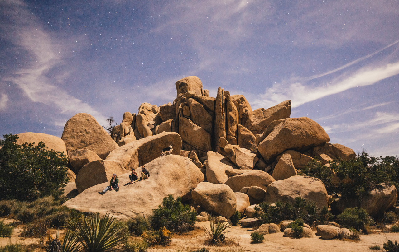 Joshua Tree, CA