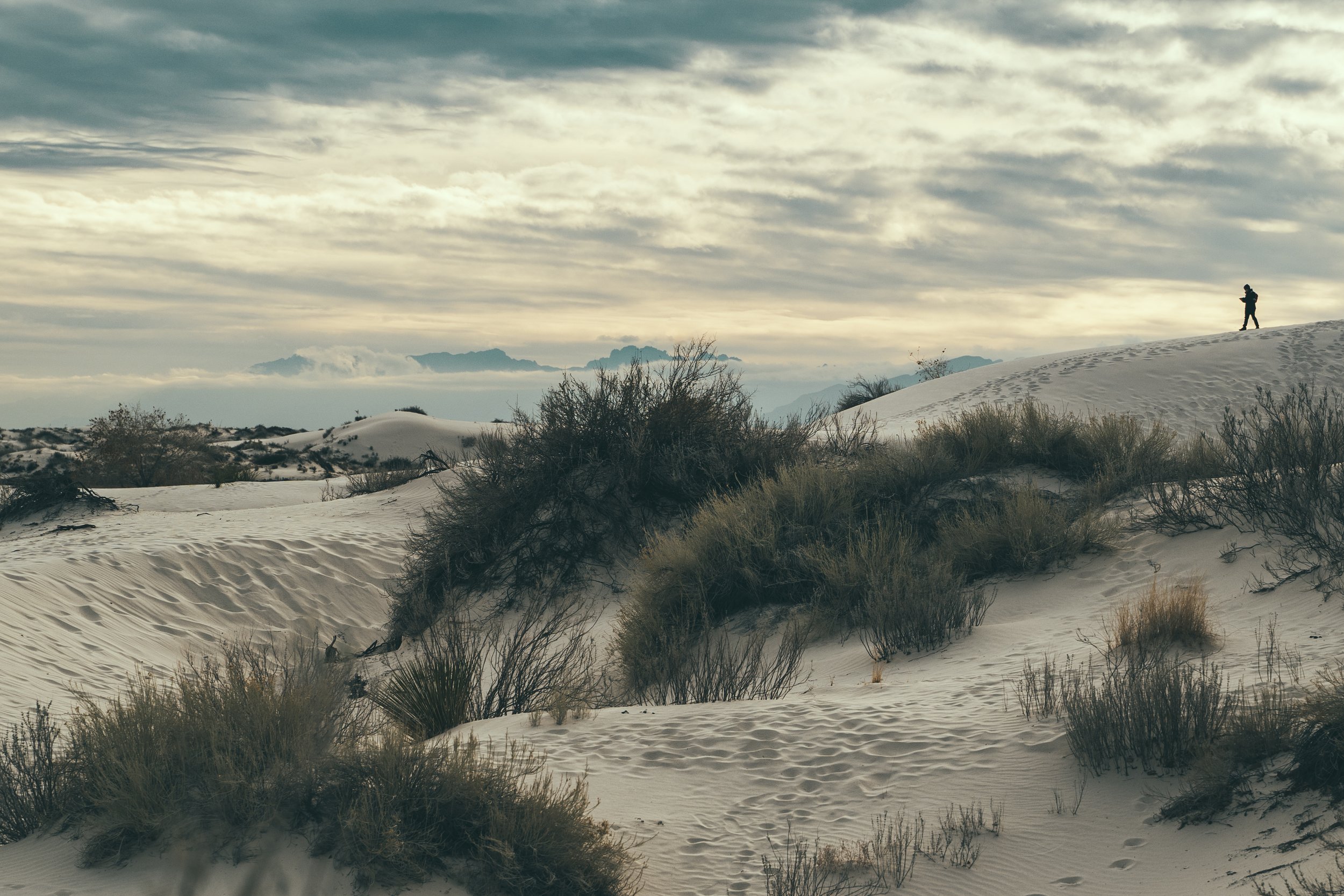 White Sands, NM