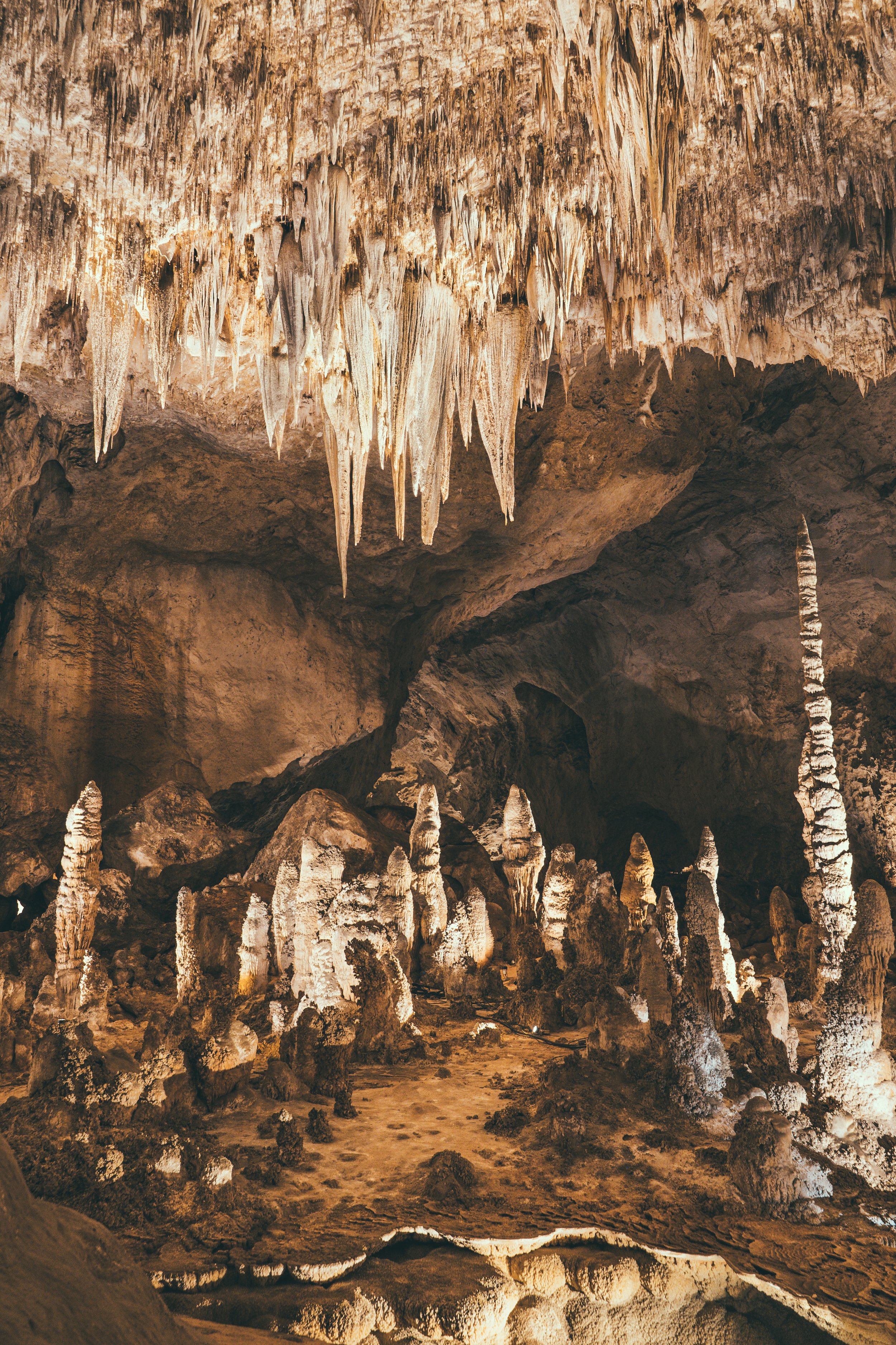 Carlsbad Caverns, NM