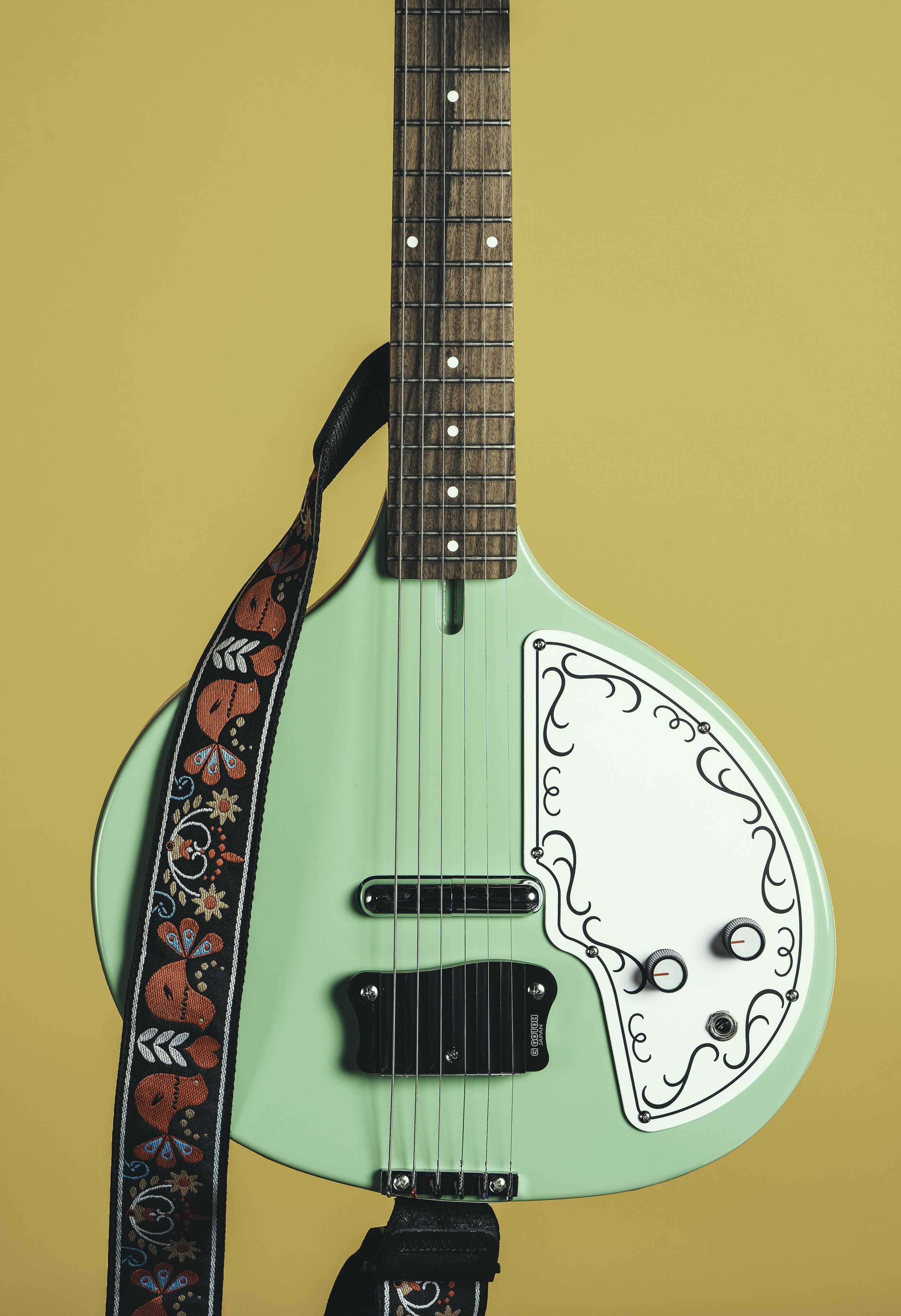 230113-Danelectro+IbanezShoot-0013-Edit-2.jpg