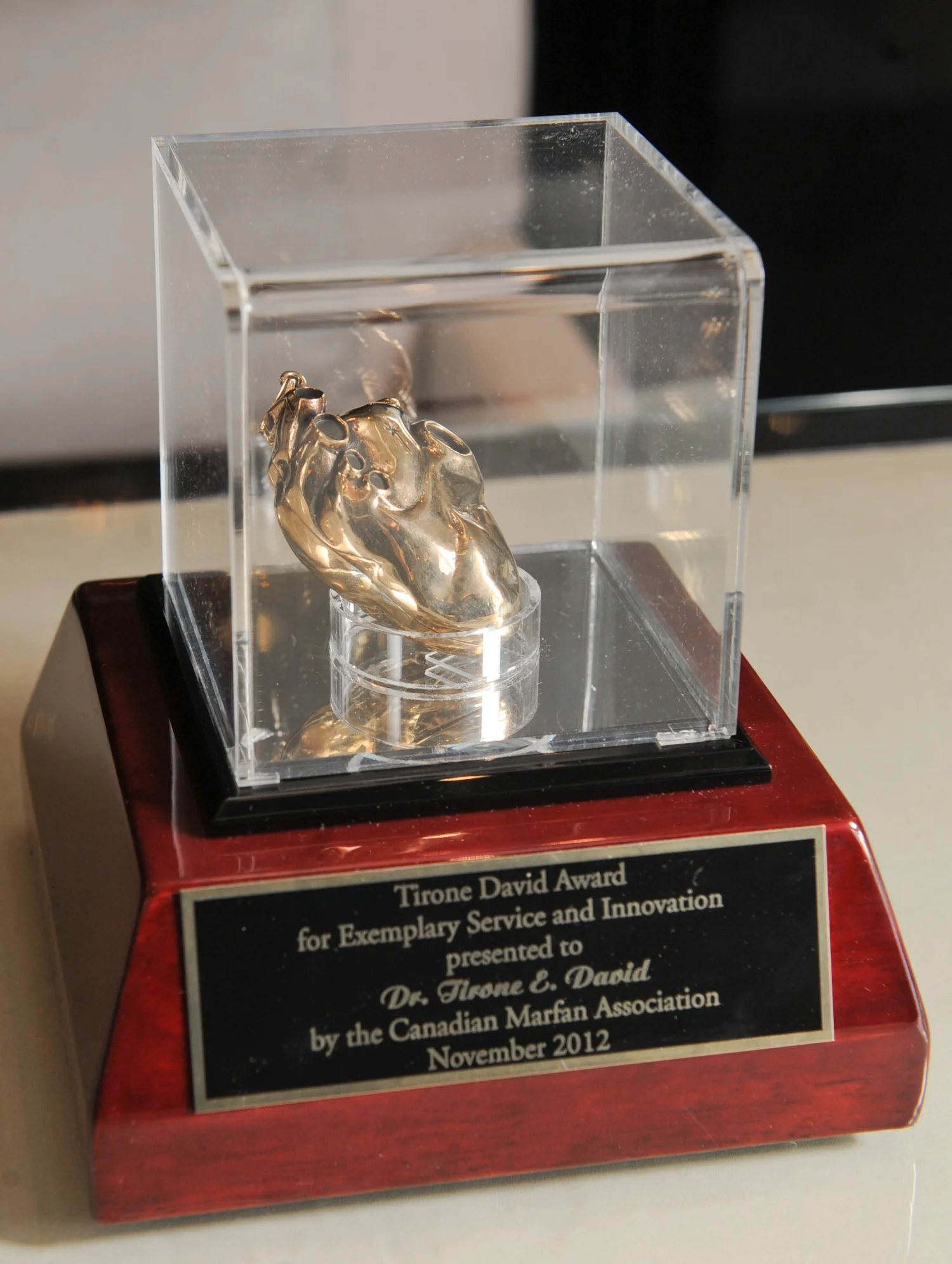 Tirone David Heart Award