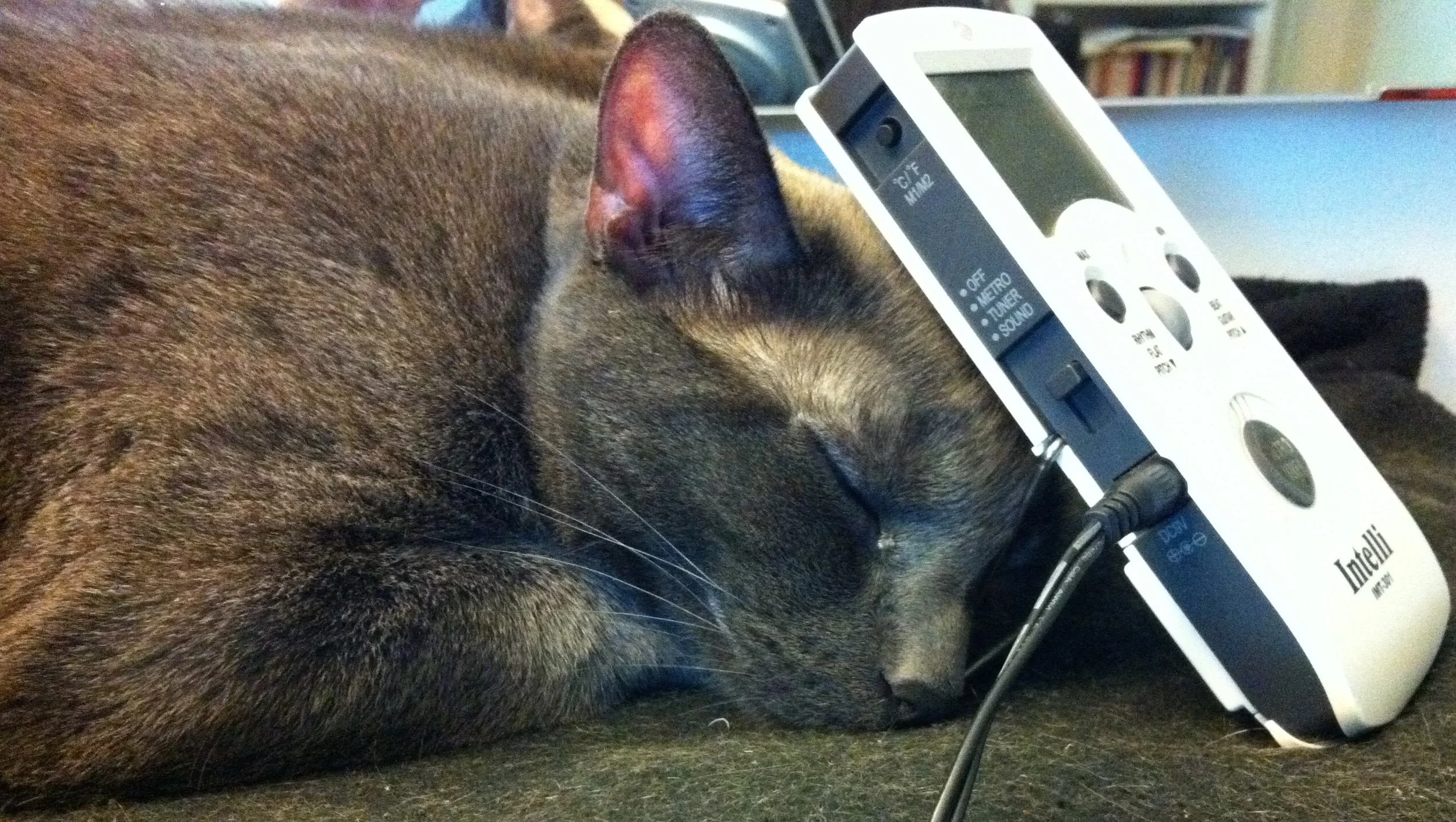 Odin demonstrates the use of the metronome as a sleep aid.