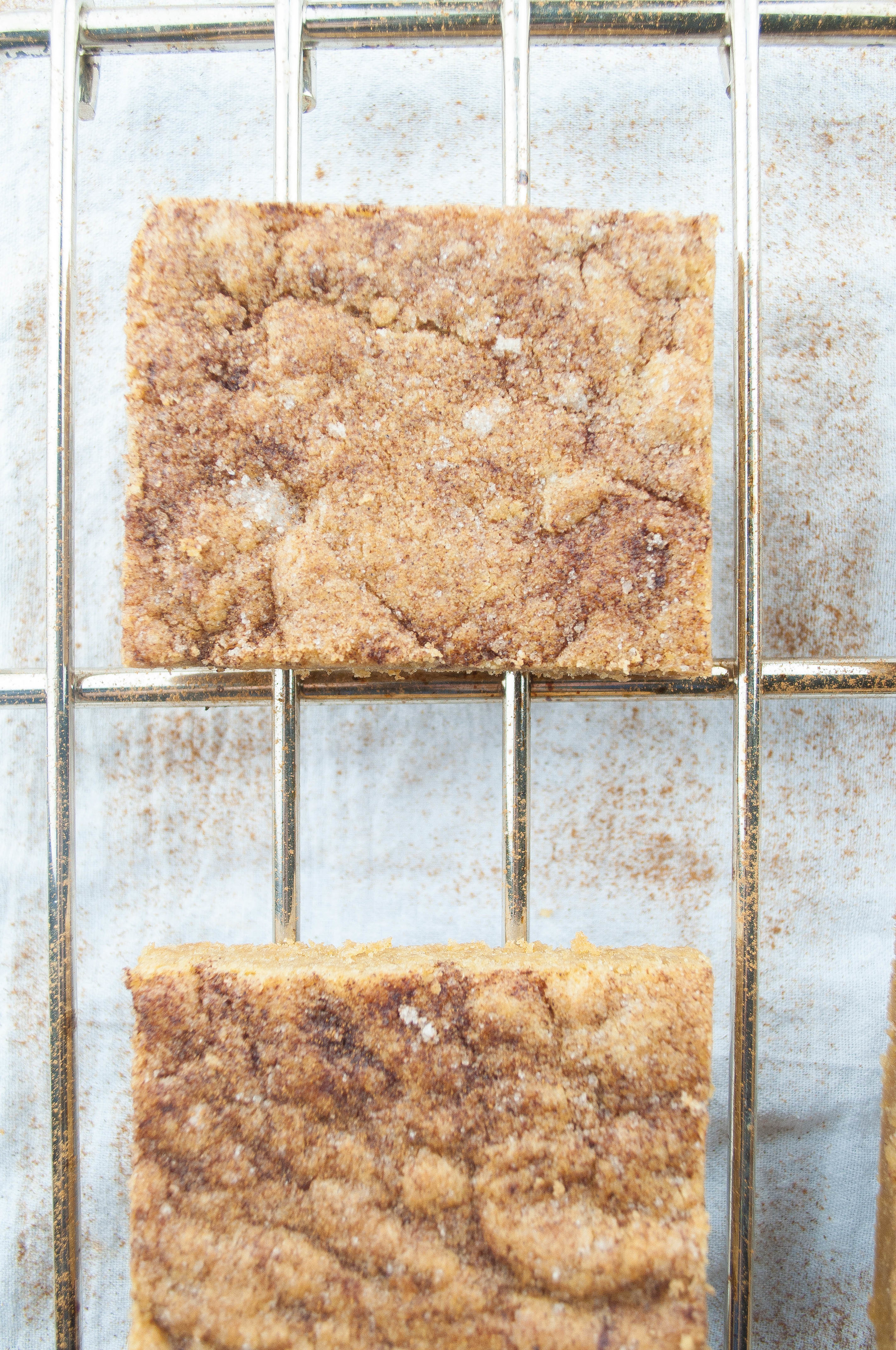 The BEST Snickerdoodle Blondies