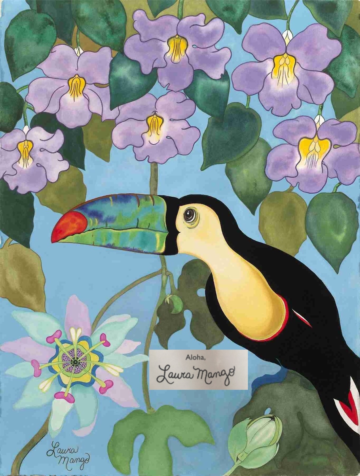 Friendly Toucan