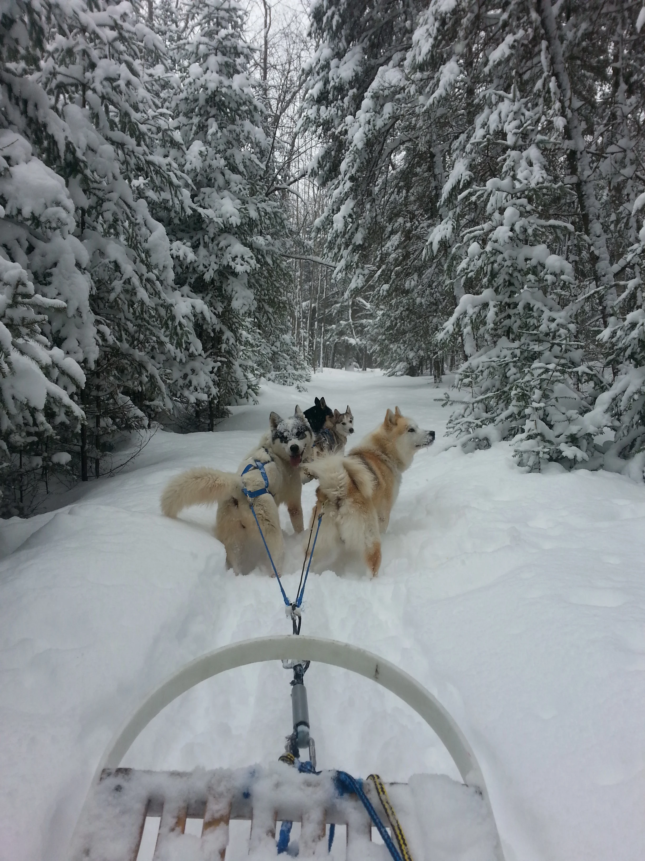 20140125_141025.jpg