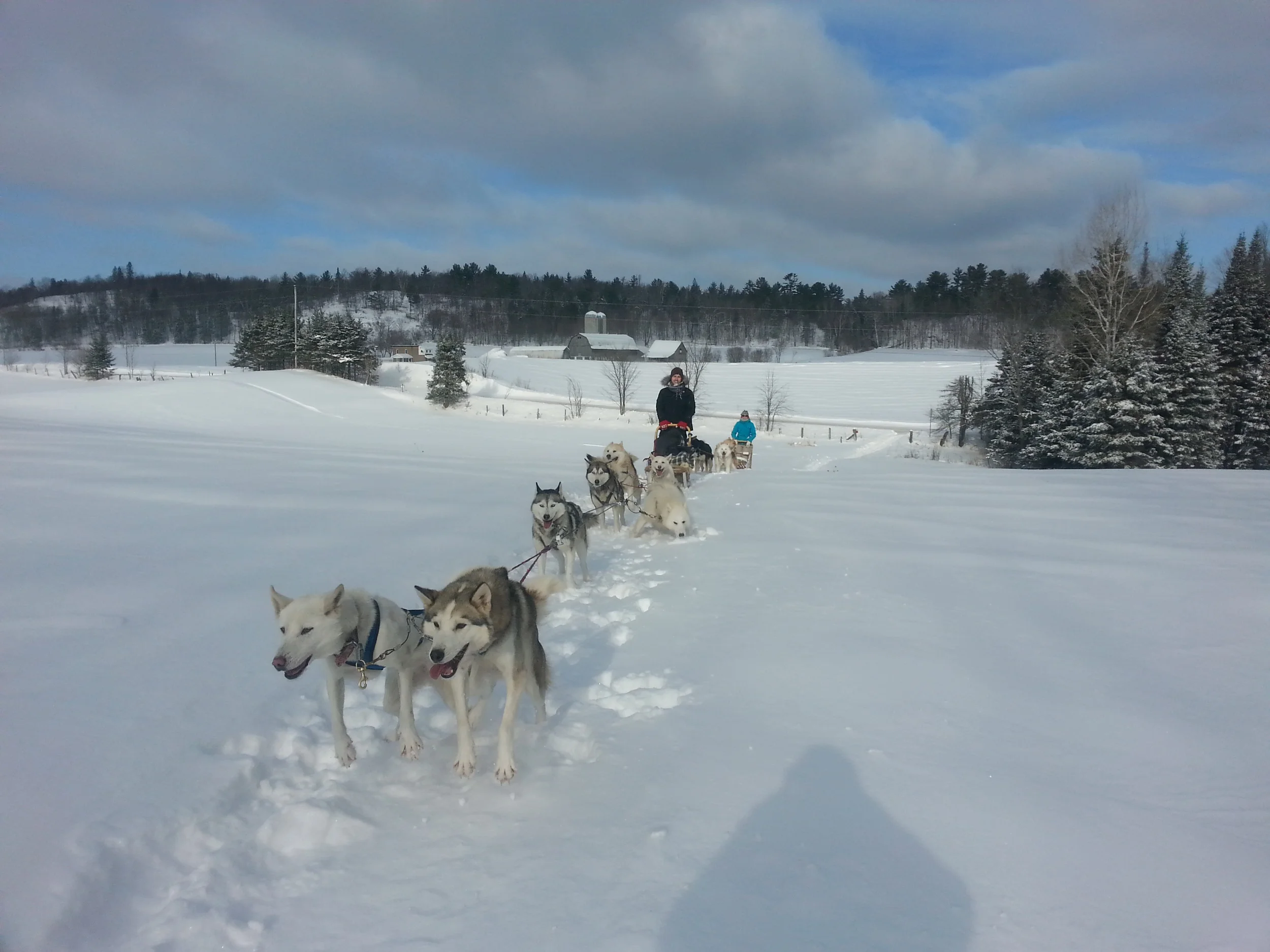 20150130_103256.jpg