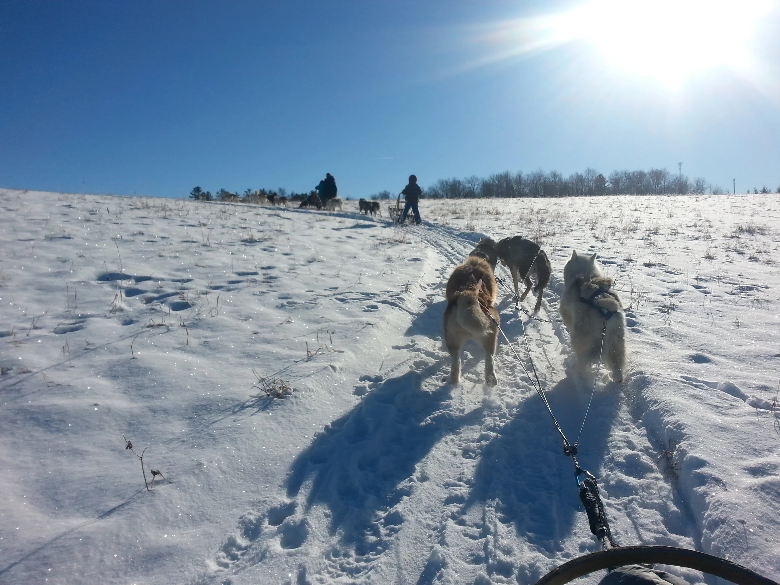20141220_121633.jpg