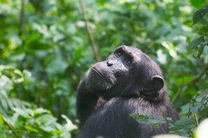 image-asset (1).jpeg