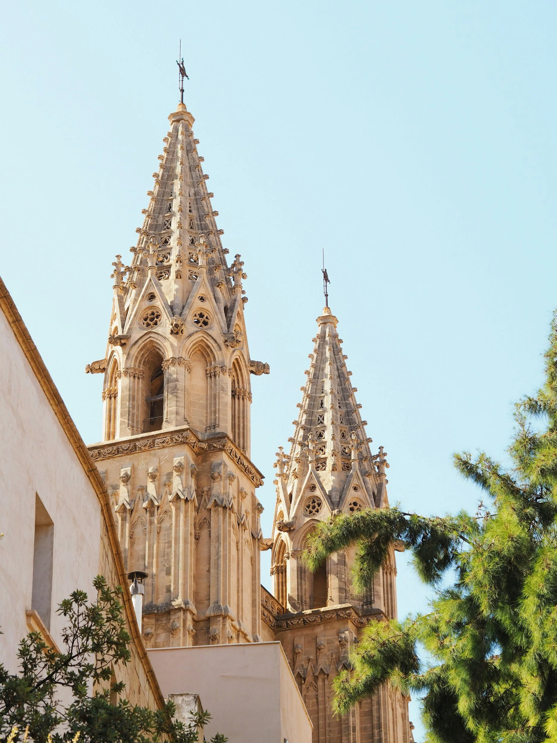 unsplash-image-16UDnMBzM5A.jpg
