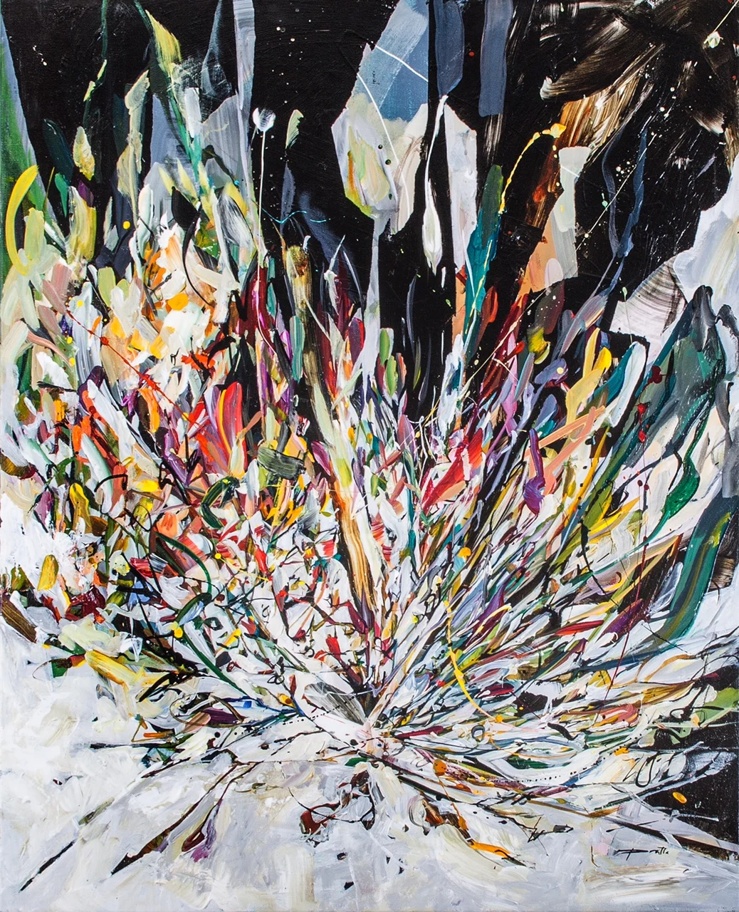 2017_Hiver_MG_5591 copy.jpg